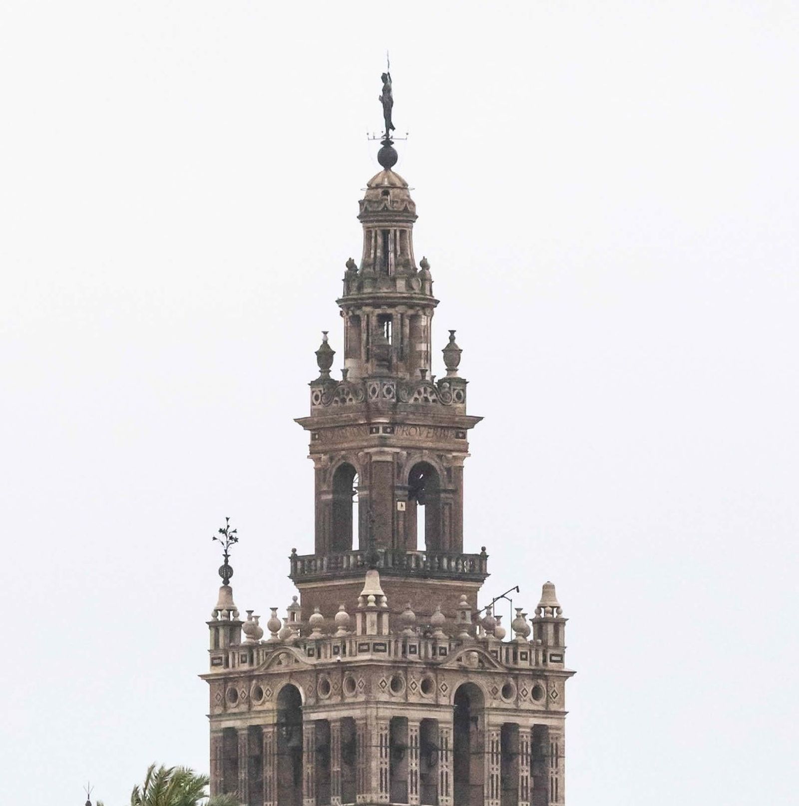 Detalle de la Giralda en la que se ve la ausencia de la azucena que se ha desprendido.