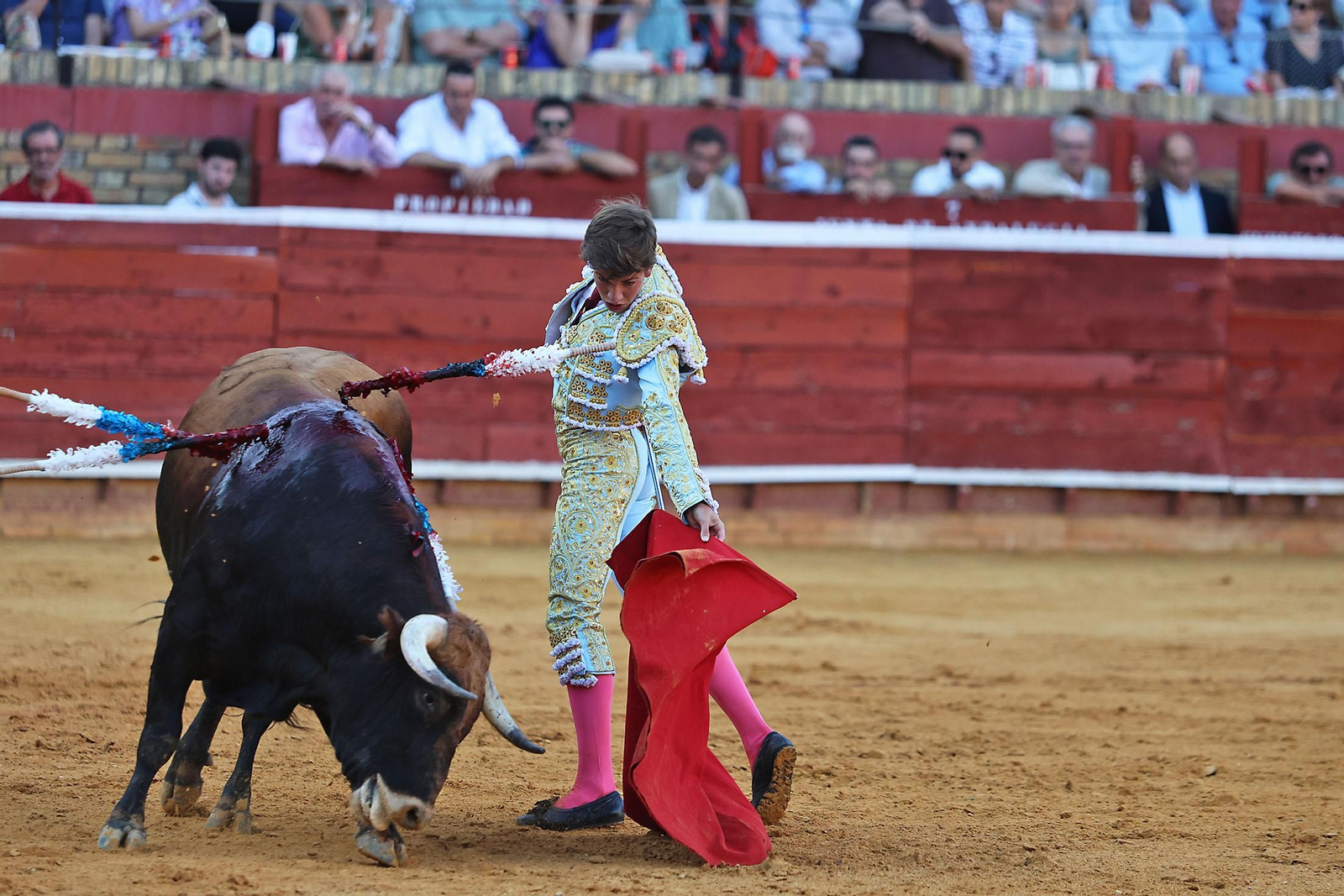 Toros La Merced 2024 Novillada con picadores(
