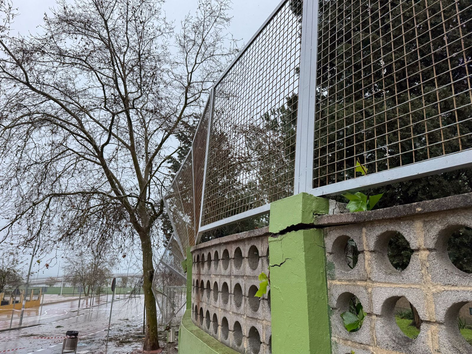 Fotos del temporal de lluvia y viento por la borrasca Kristin en el Campo de Gibraltar