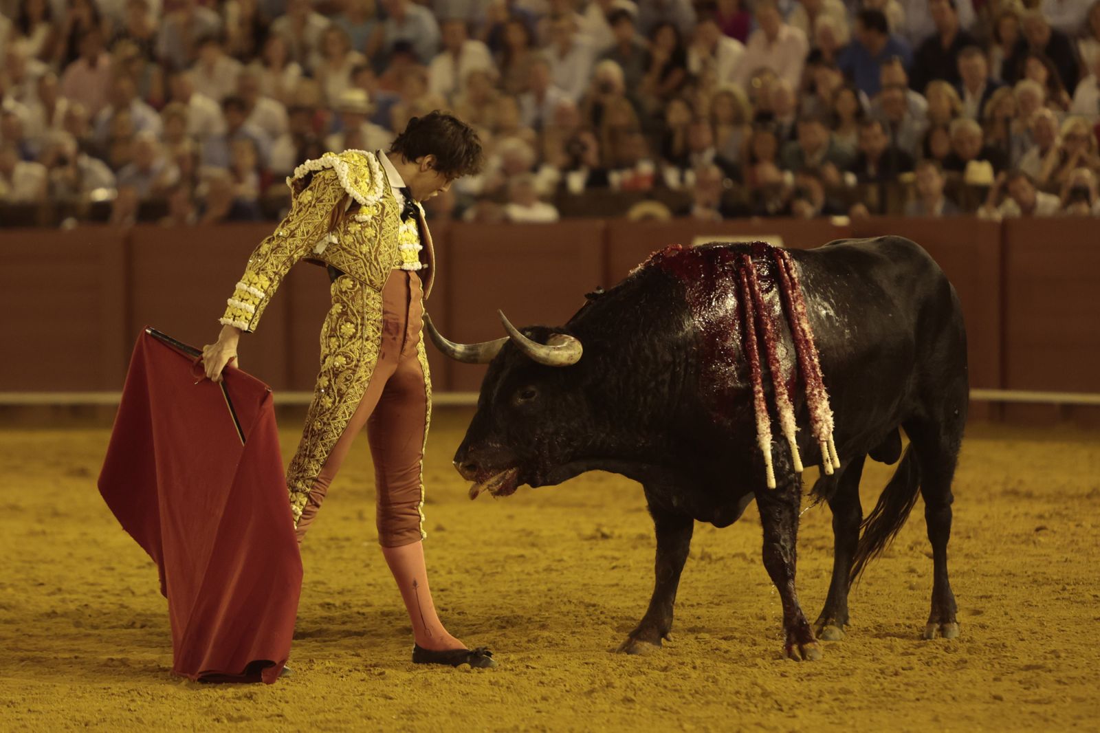 El triunfo de Castella en imágenes