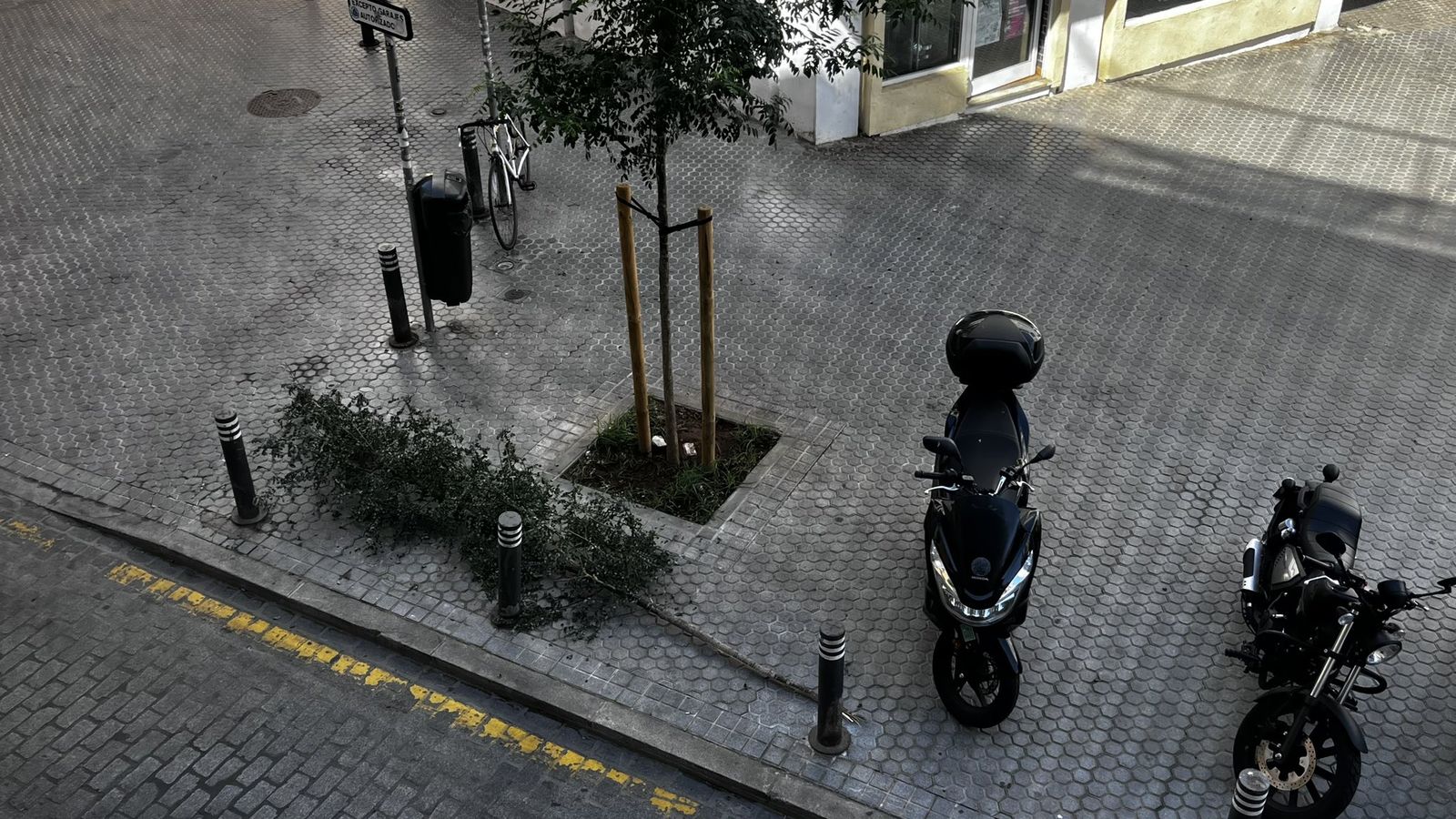 El árbol arrancado en la calle Leoncillos.