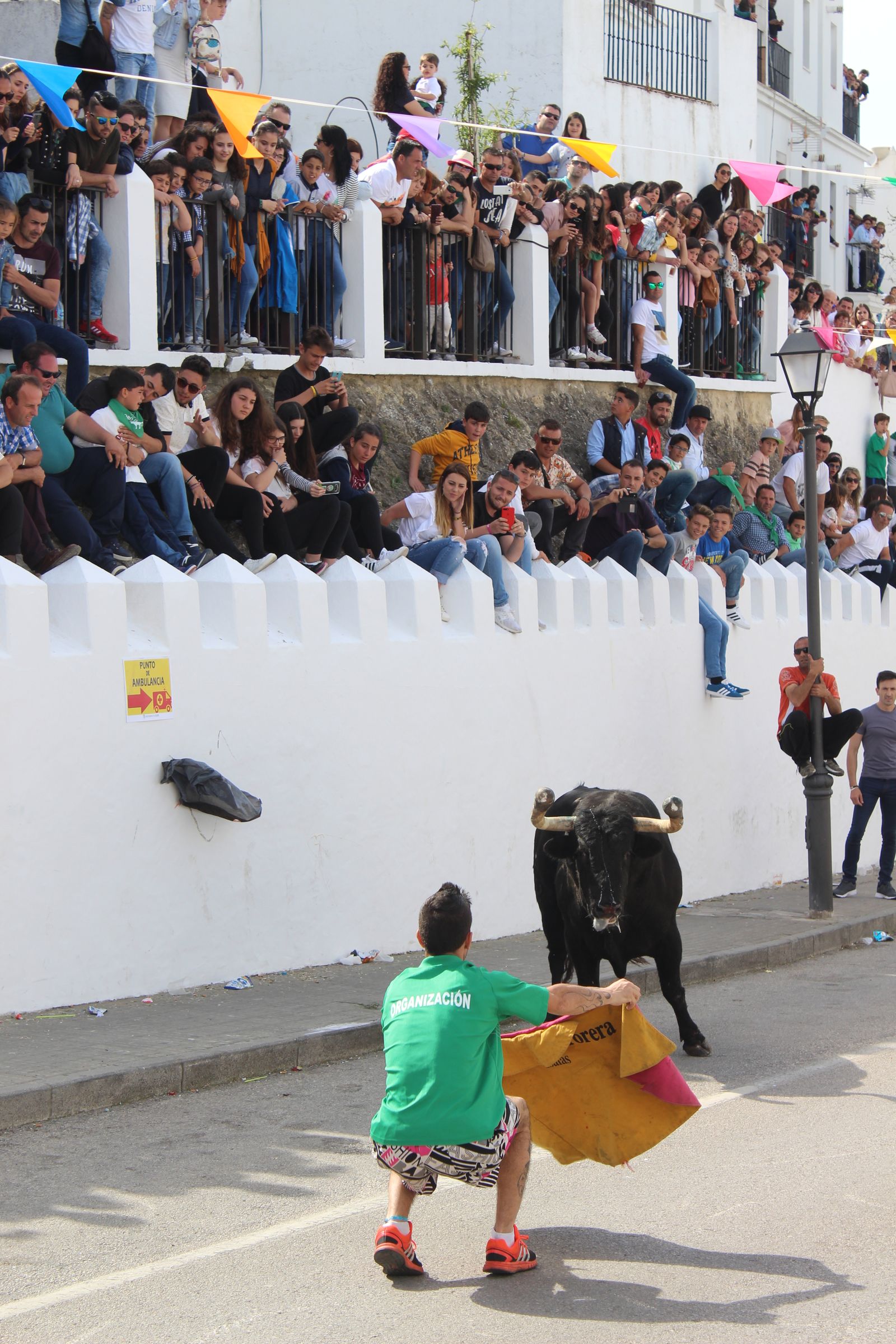 Toro Embolao en Vejer