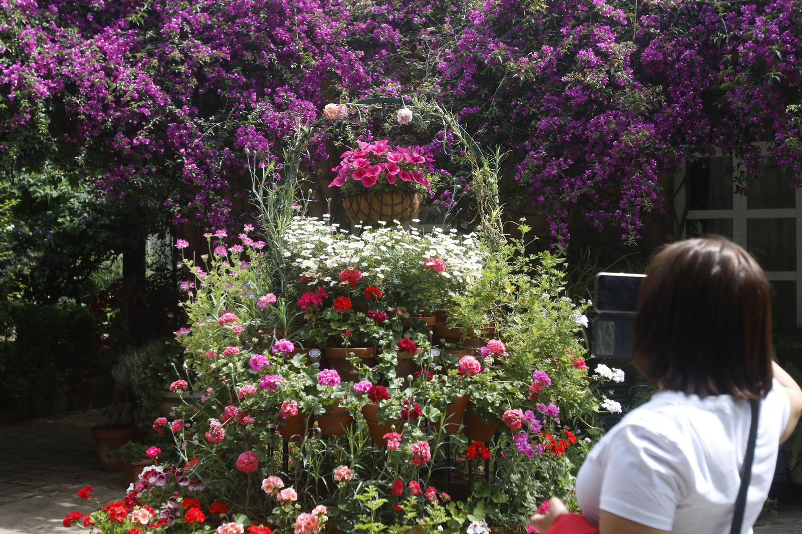 Ruta Regina - Realejo de los Patios de Córdoba, en imágenes