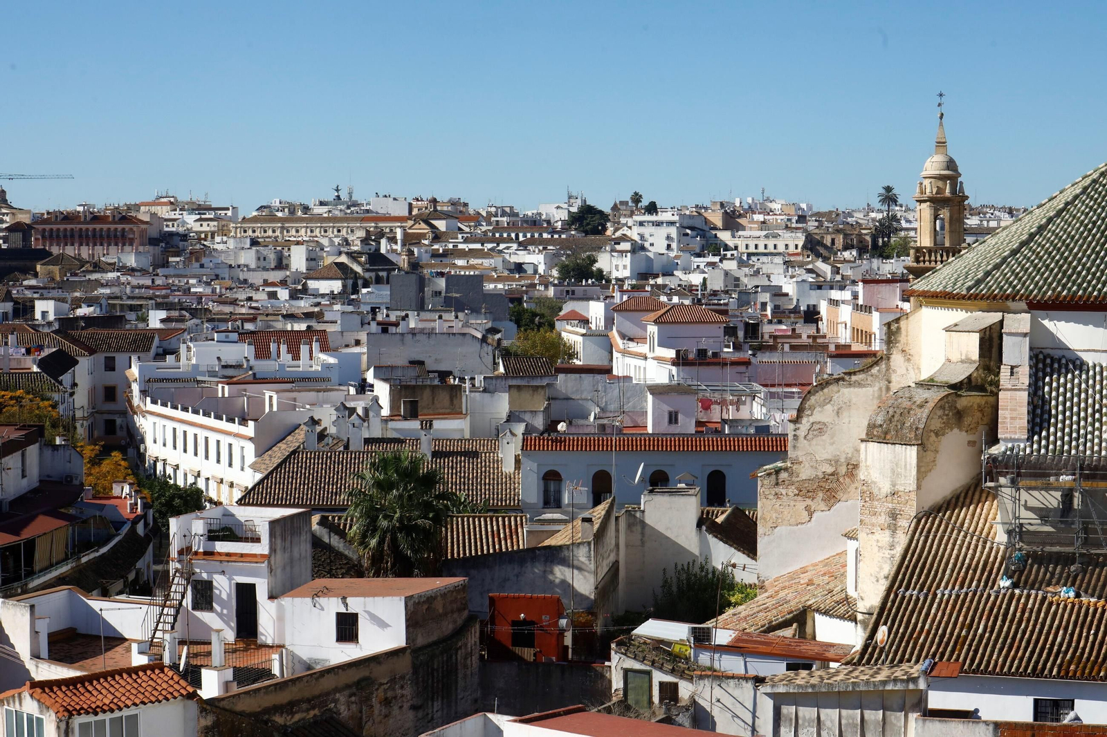 Las mejores vistas de Córdoba desde las torres de las iglesias Las mejores vistas de Córdoba desde las torres de las iglesias