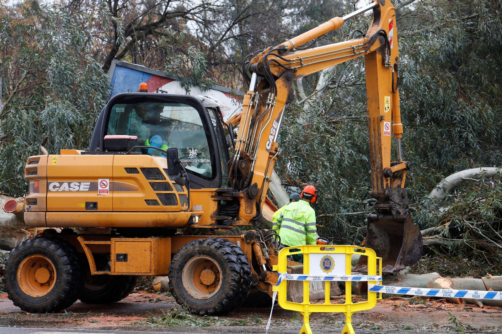 Los daños del último temporal que ha pasado por Córdoba, en imágenes