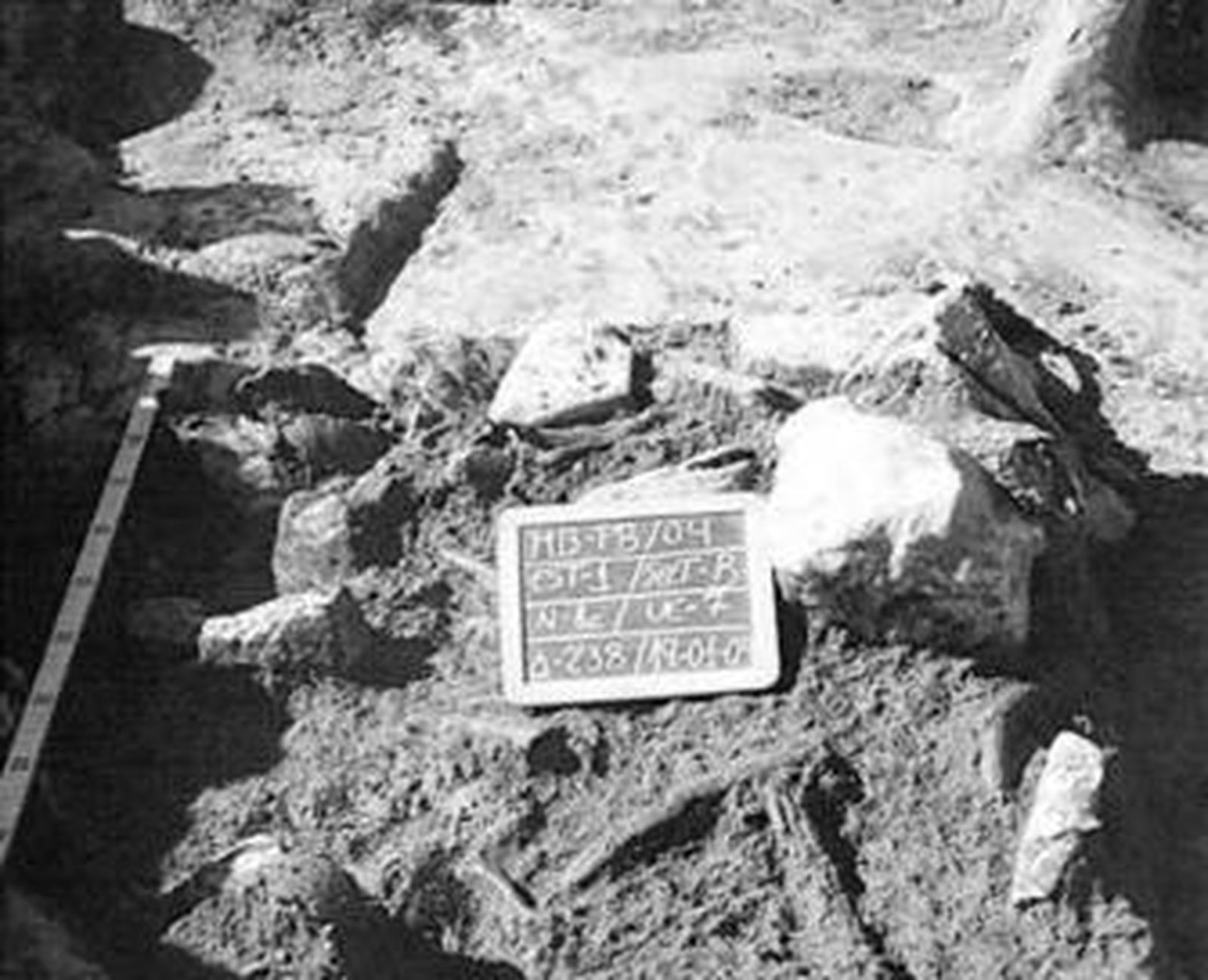 Uno de los paneles que se exhiben en el Museo.