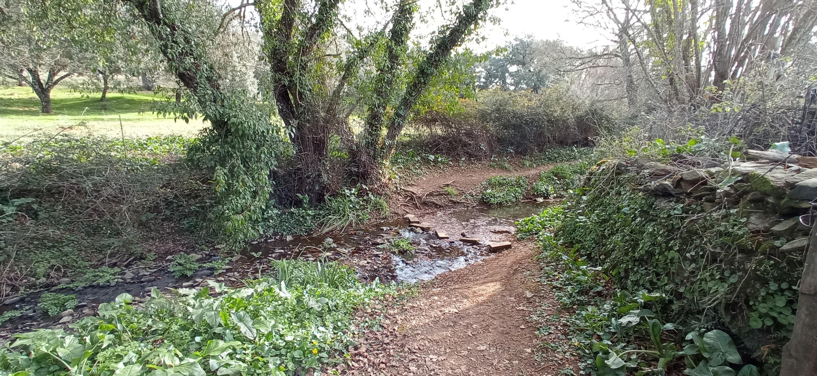 Las imágenes de la ruta de la Dehesa de Valdelama: De Los Marines a Fuenteheridos y vuelta