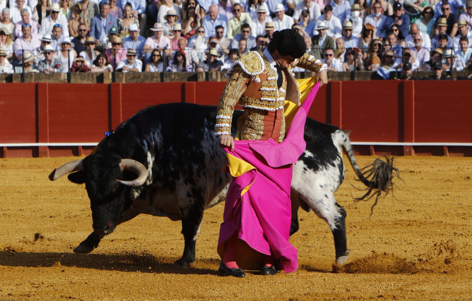 Toros.Morante , El Juli y Perera