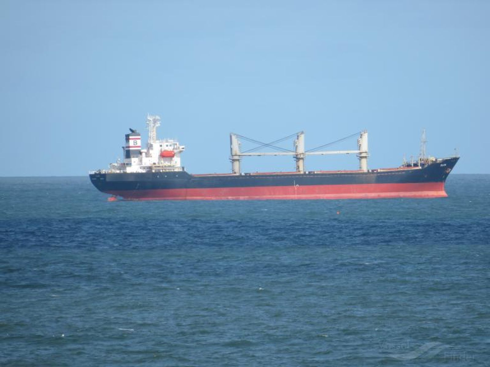 El granelero 'Olga'.