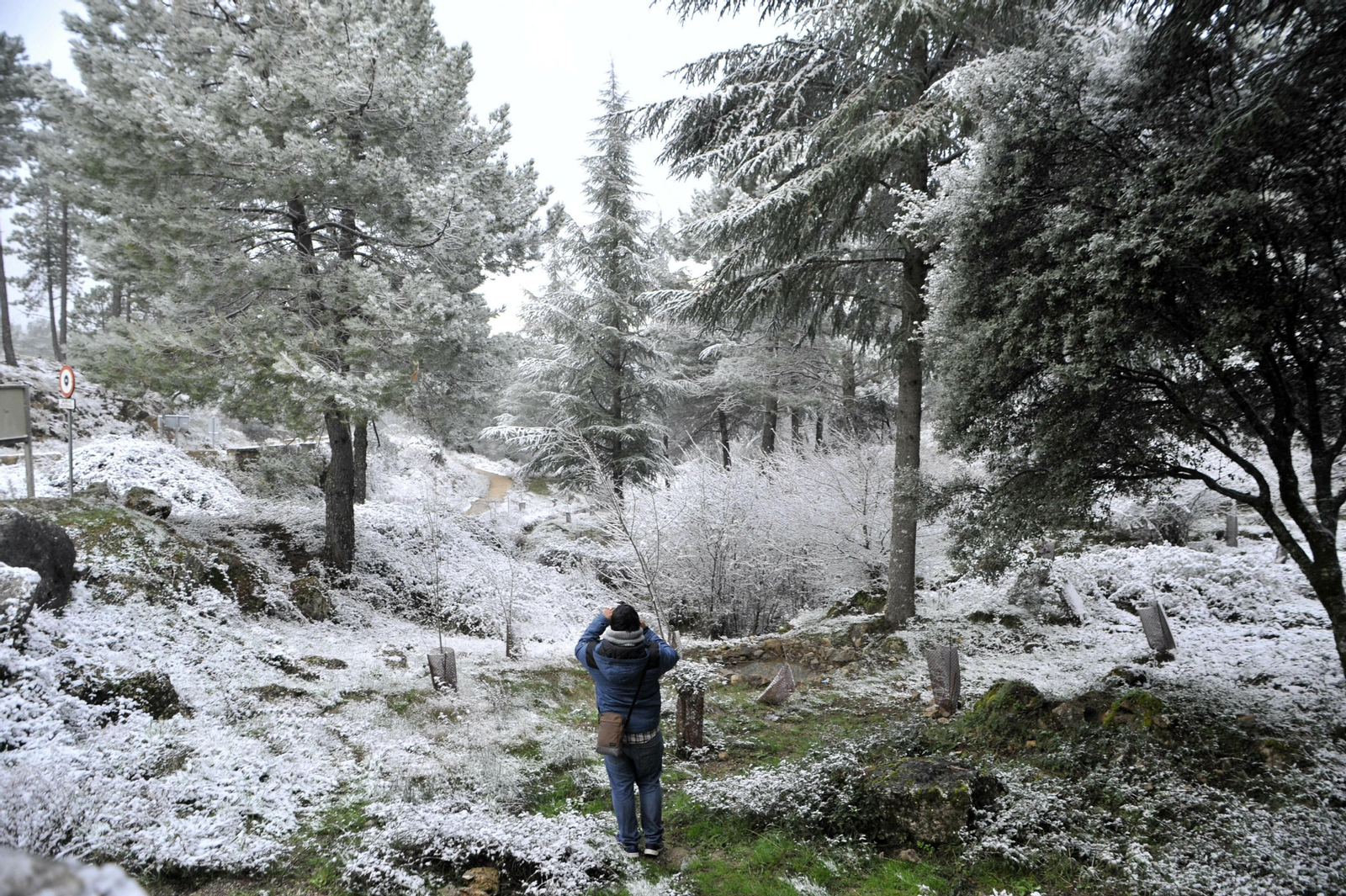 Nieve en Grazalema