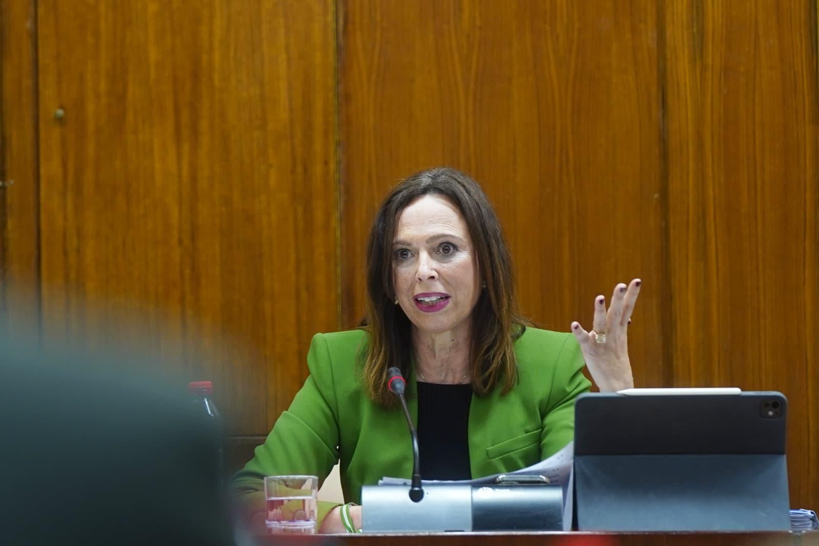 La consejera Rocío Díaz, en la comisión de Fomento.