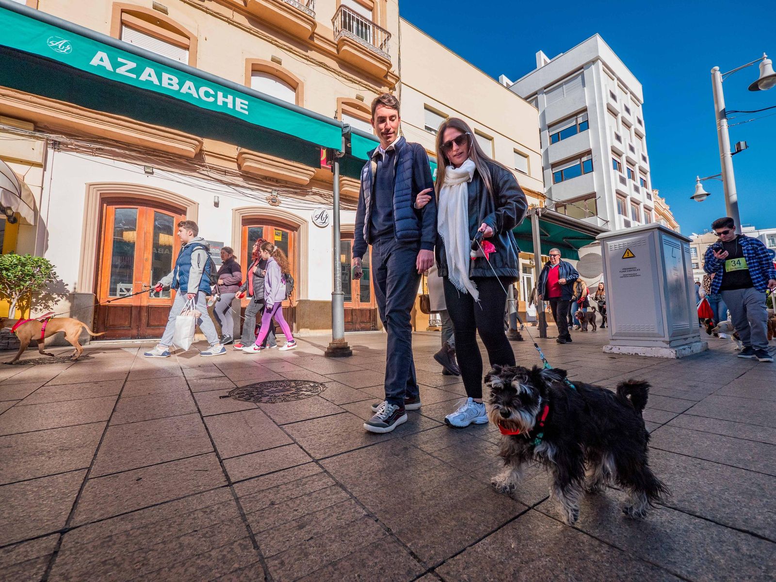 Las imágenes de San Antón 2025 en San Fernando