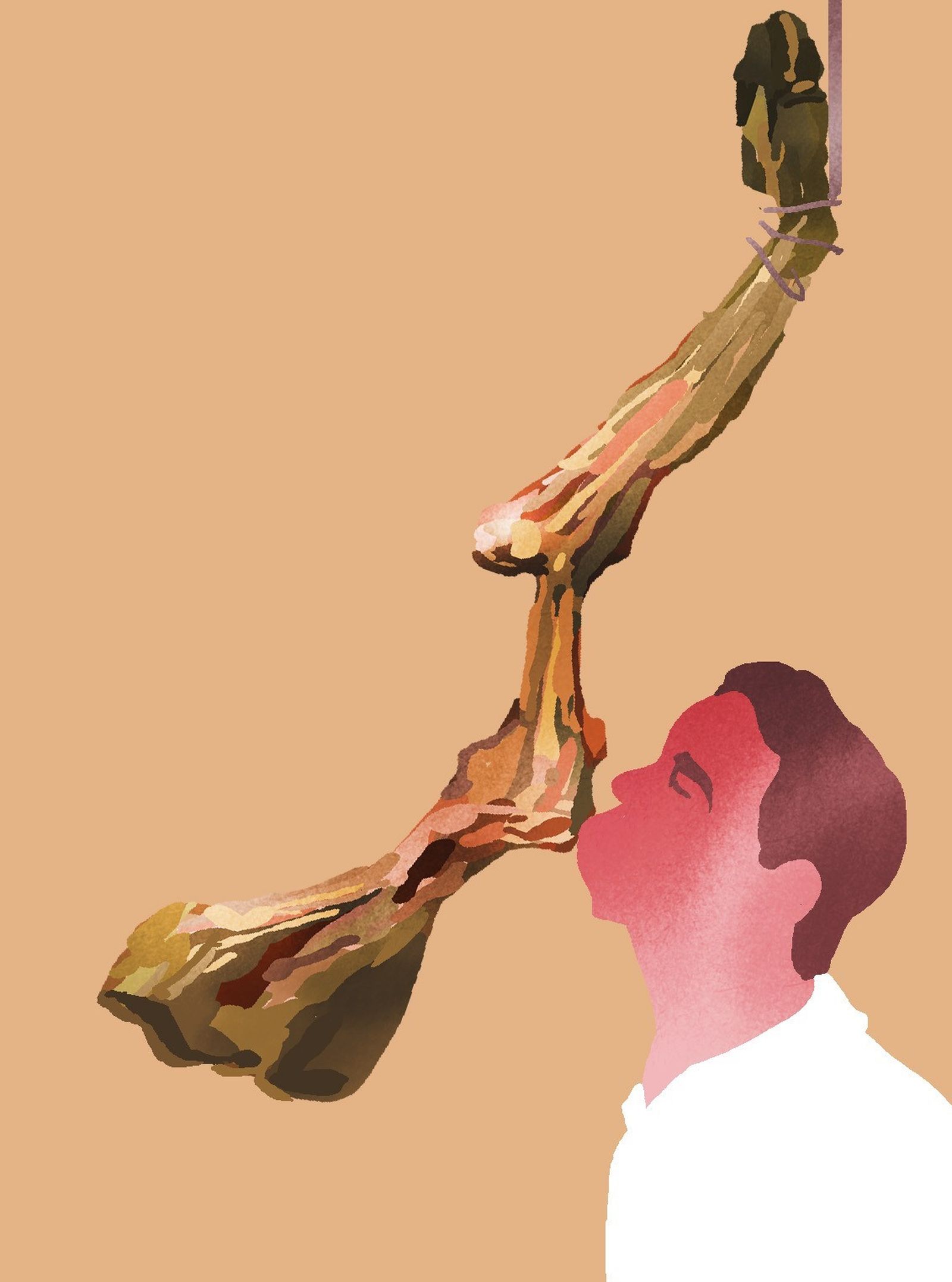 Sustancieros y mamadores