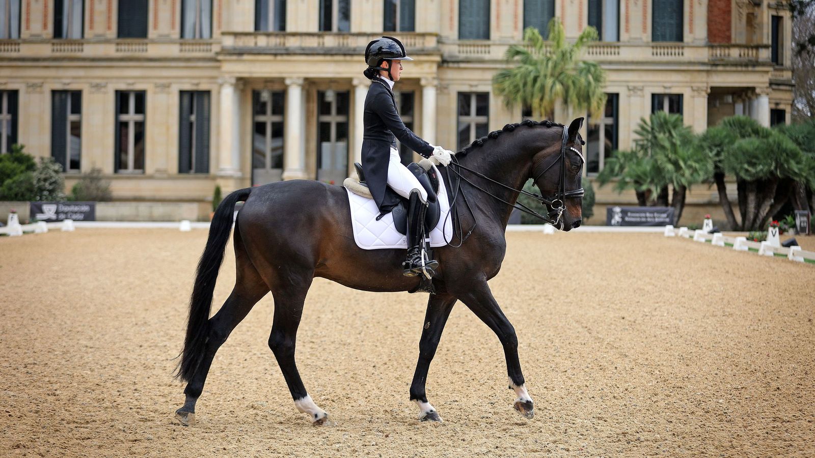 Concurso Internacional de Doma Clásica en La Real Escuela de Jerez