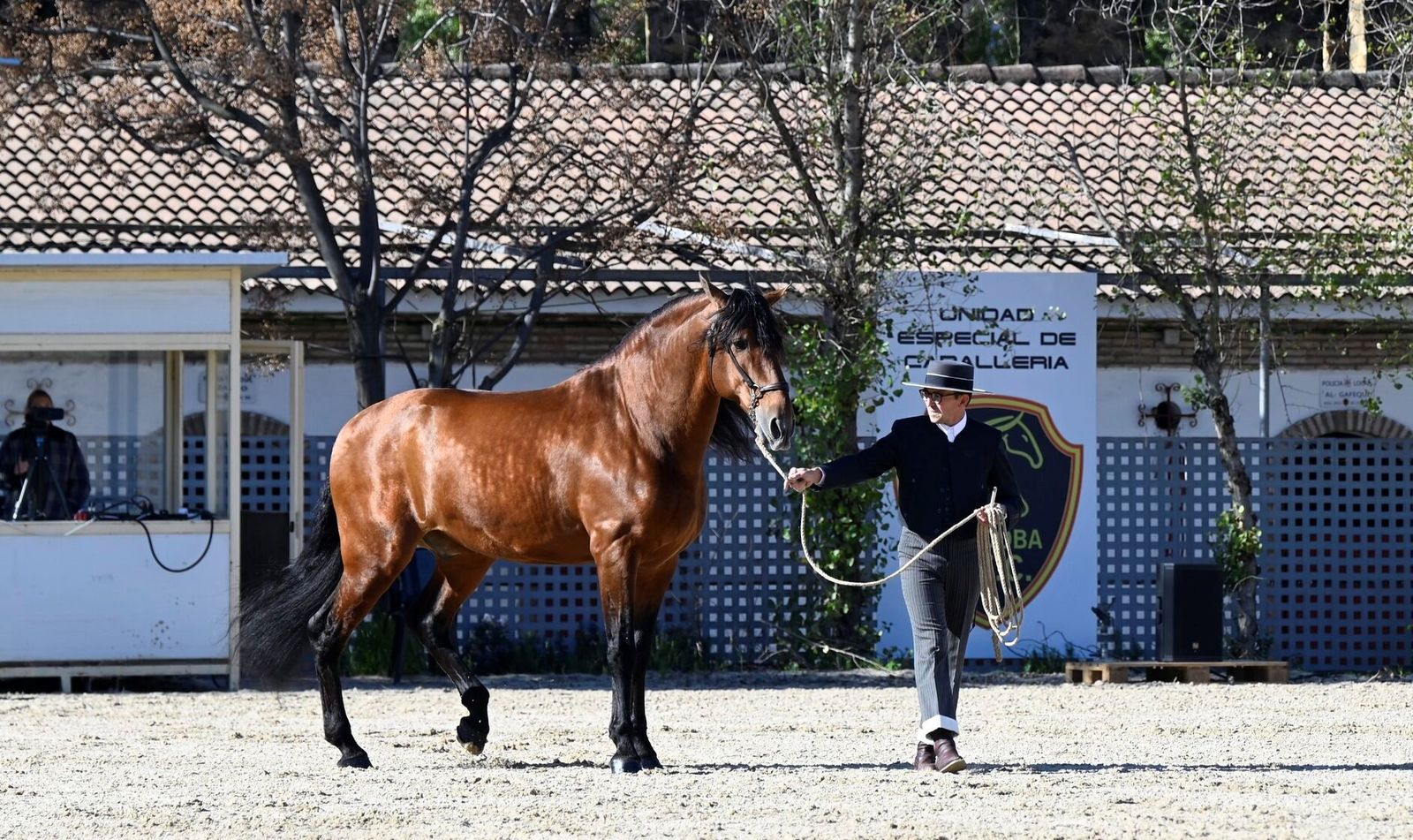La Presentación de Sementales PRE 2026 en Córdoba, en imágenes