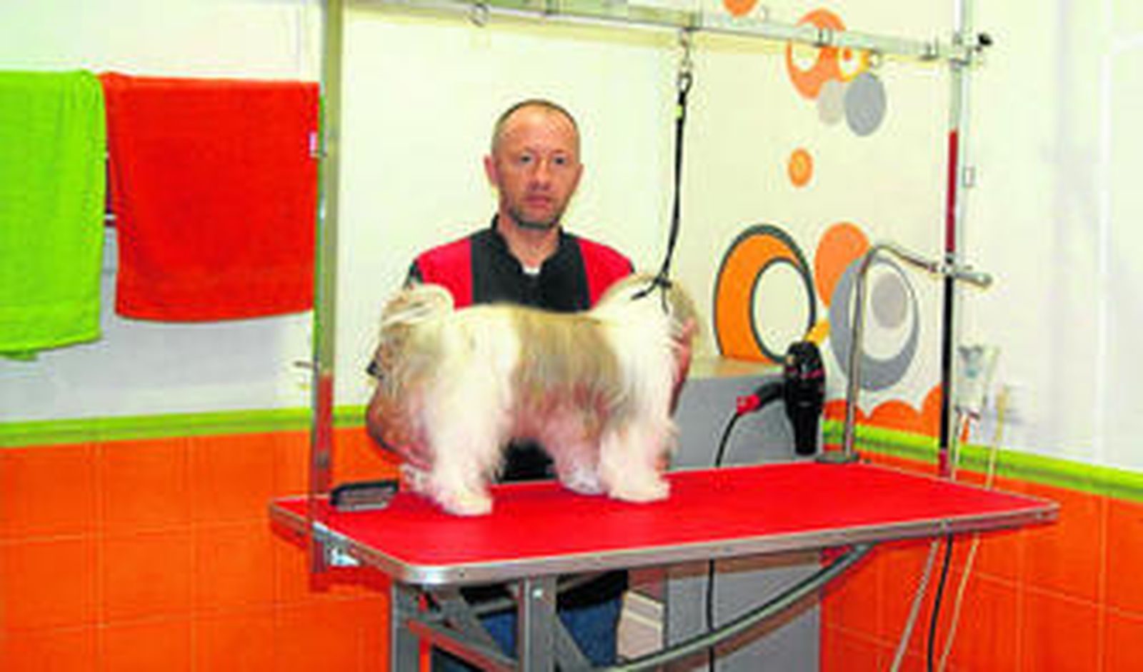 Uno de los peluqueros de Guagüi se dispone a atender a uno de sus clientes caninos.