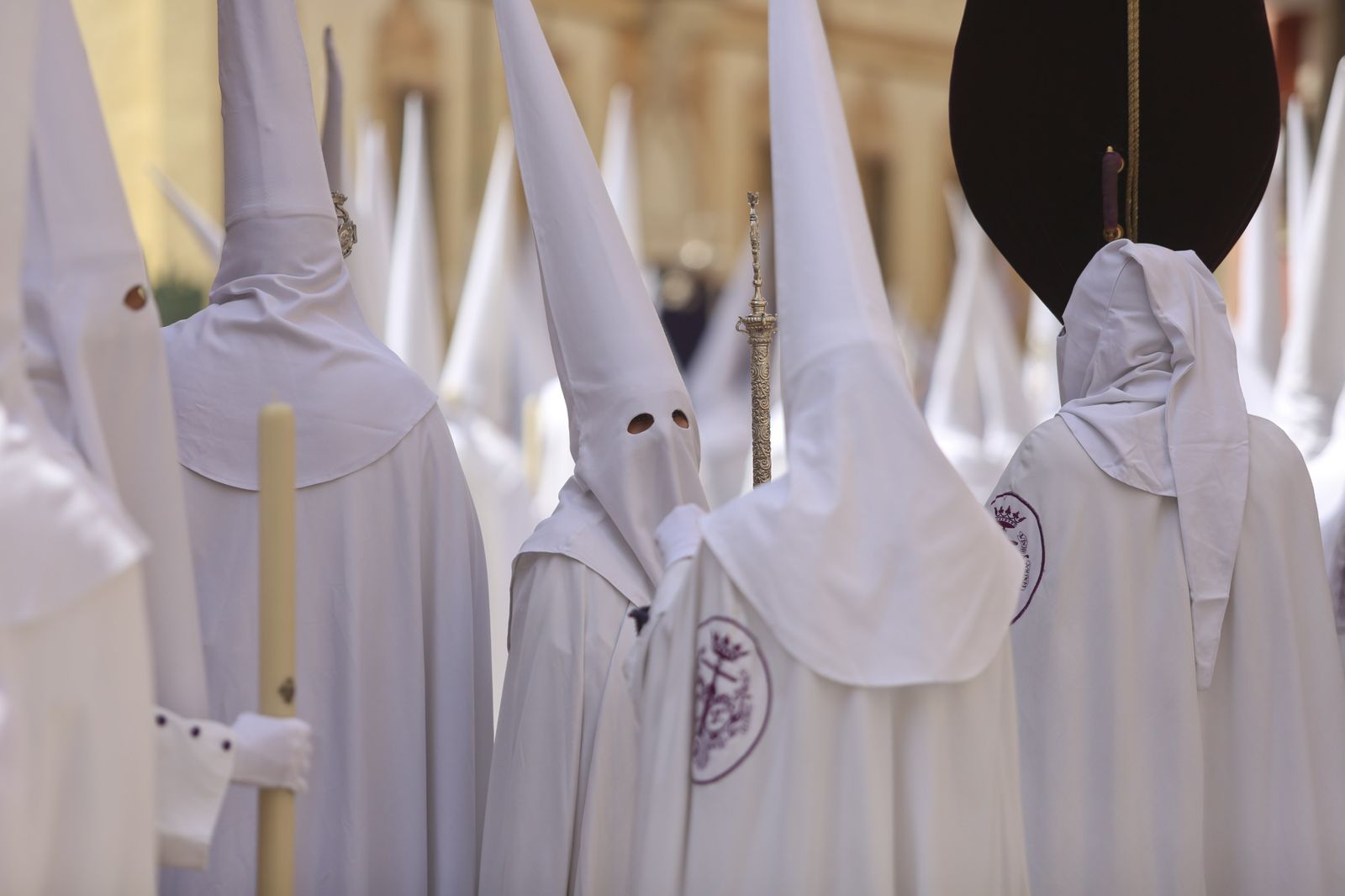La procesión de Salutación este Domingo de Ramos, en fotos
