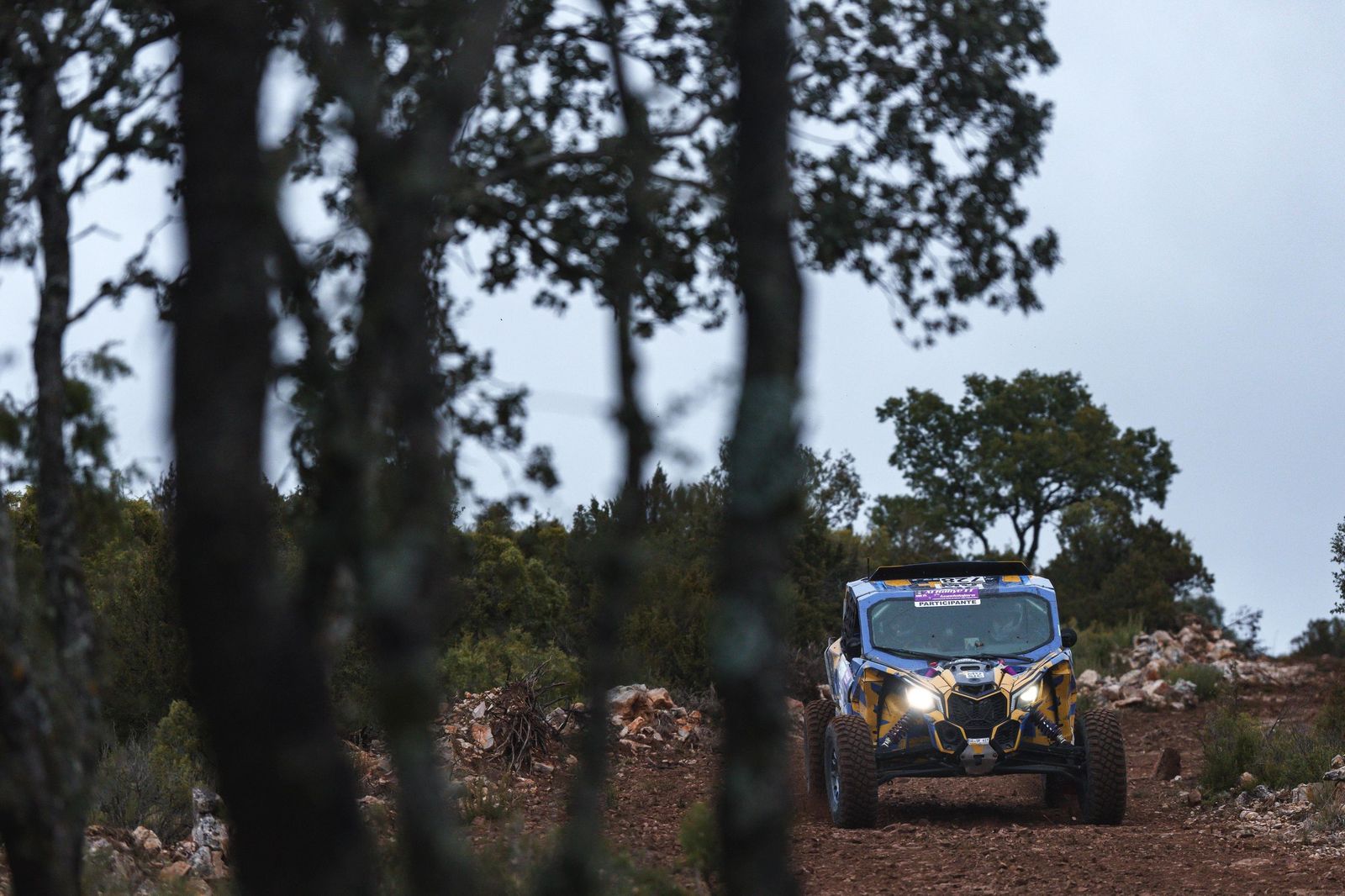 Los almerienses a su paso con su vehículo durante uno de los tramos del circuito en la prueba guadalajareña.