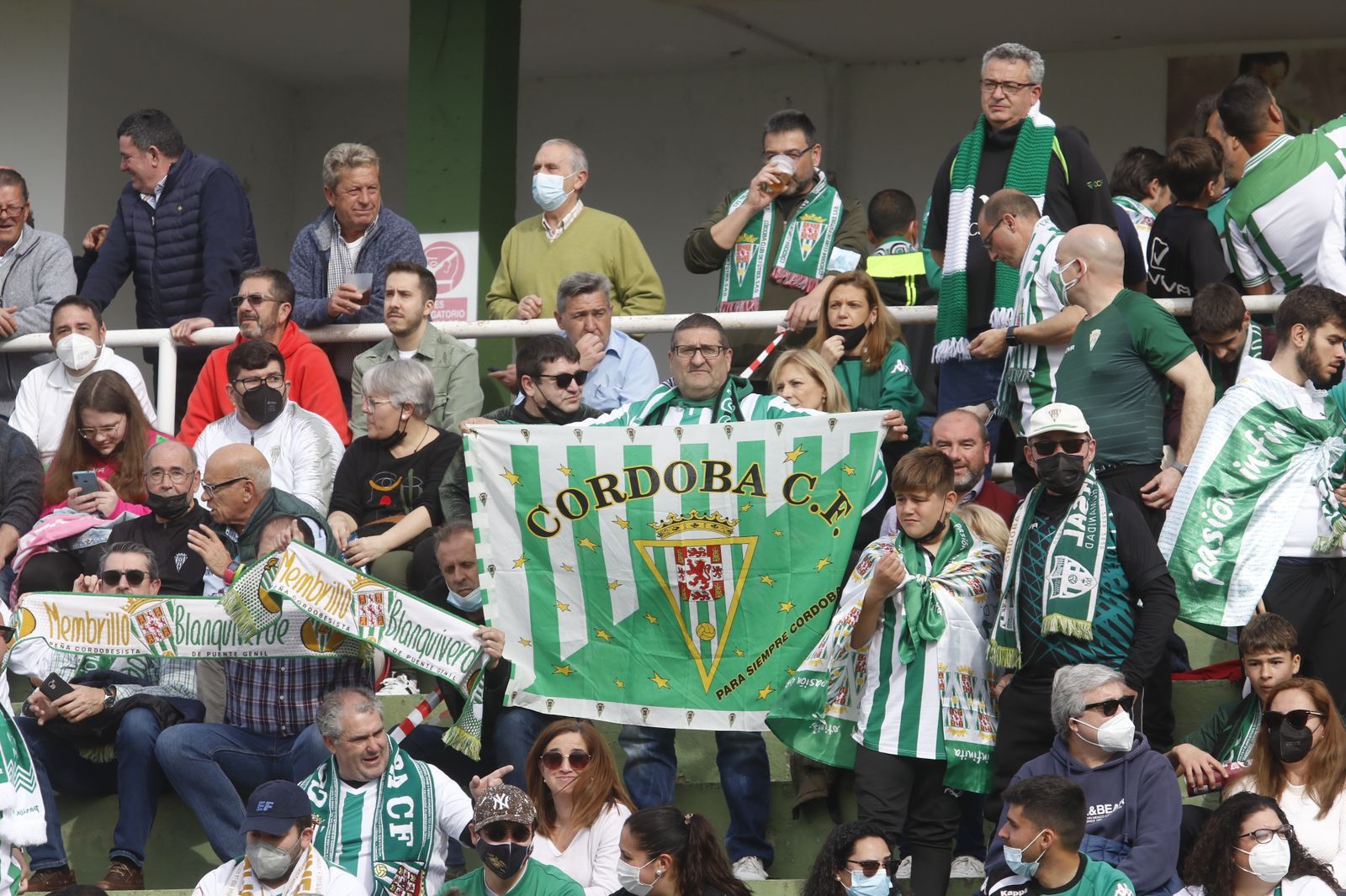 La victoria del Córdoba CF ante el Antequera, en imágenes
