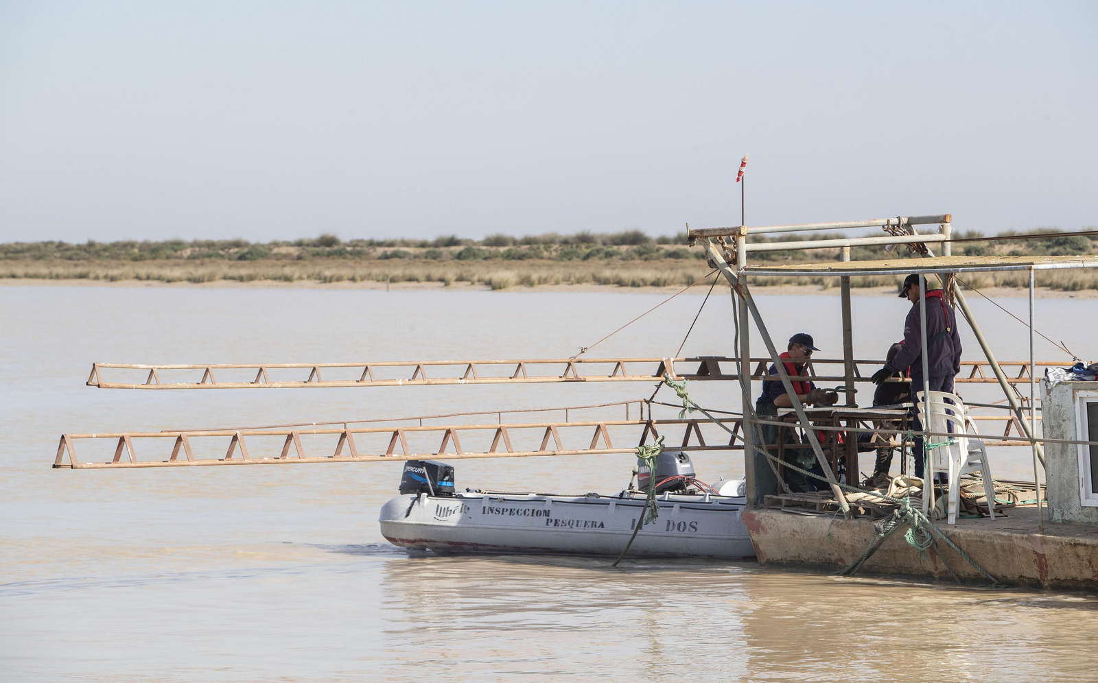 Operación Ave  fenix contra la pesca  de la angula