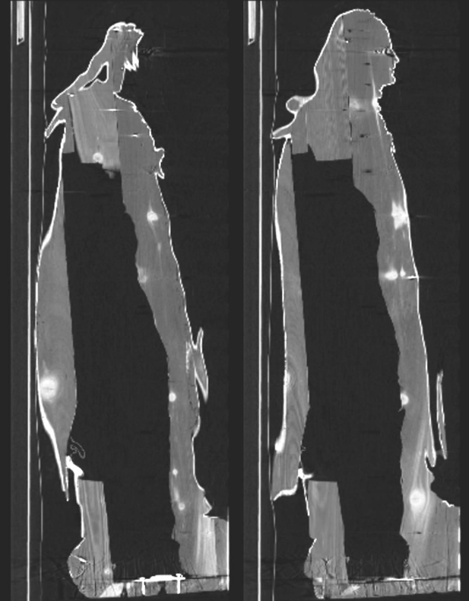 Reconstrucción gráfica del estado de la talla