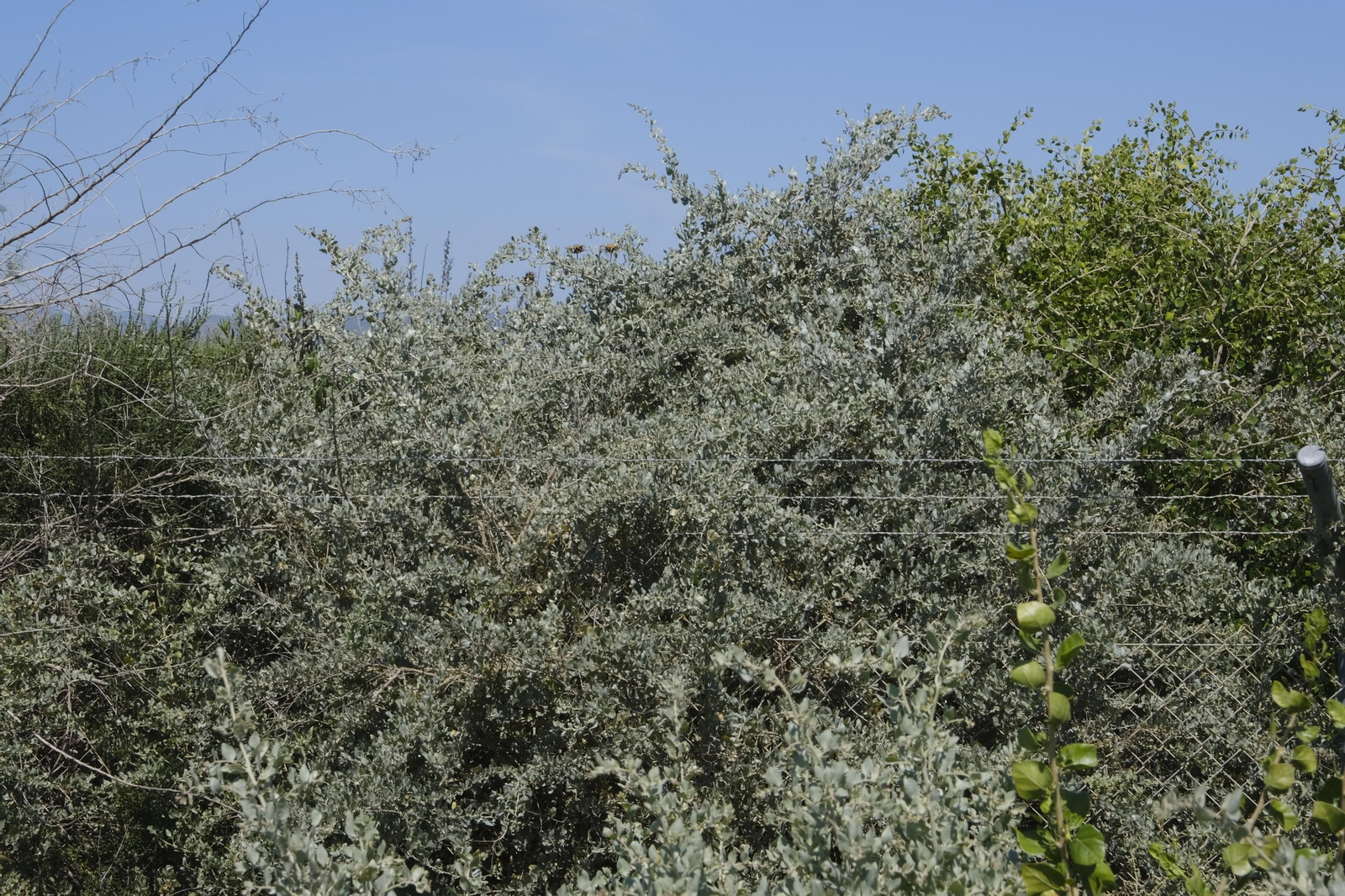 Fotogalería obras del AVE en la provincia de Almería