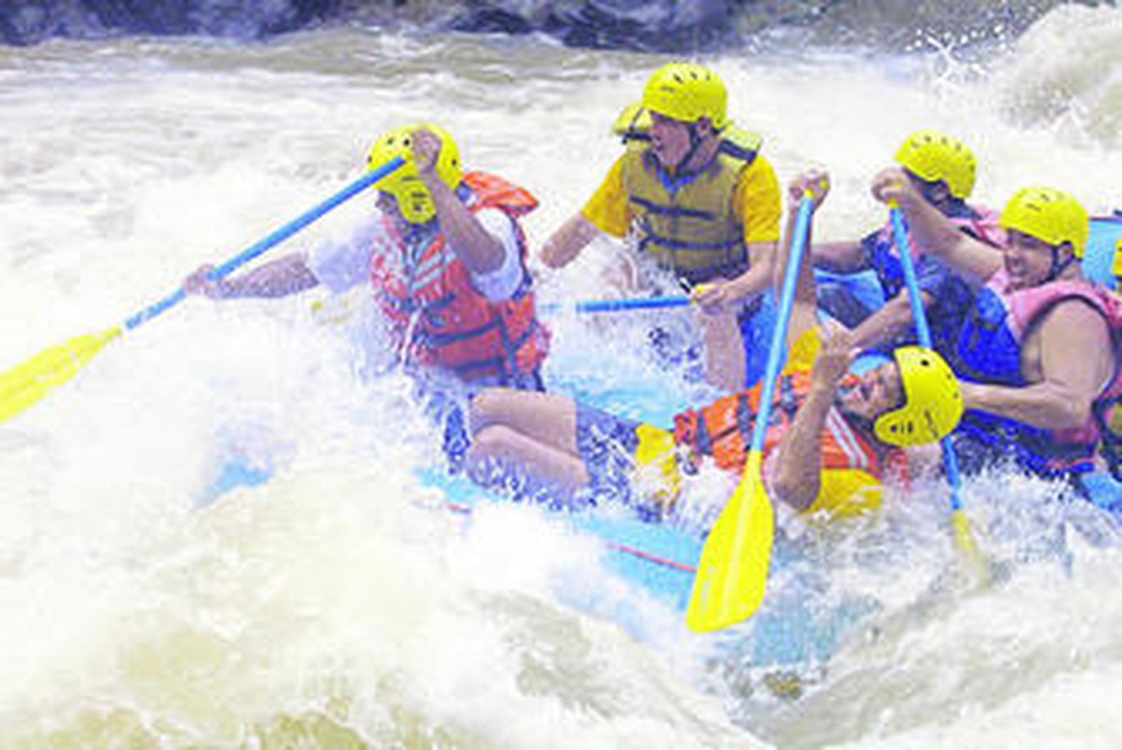 Las atracciones de un parque natural