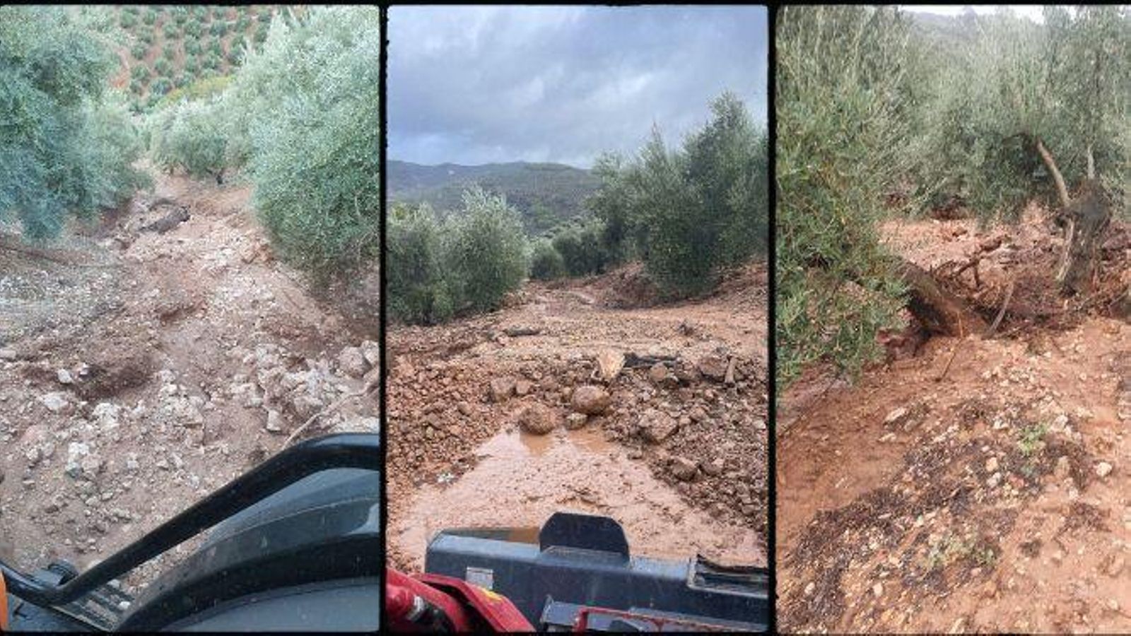 WhatsApp Image 2023-10-24 at 20.10.07