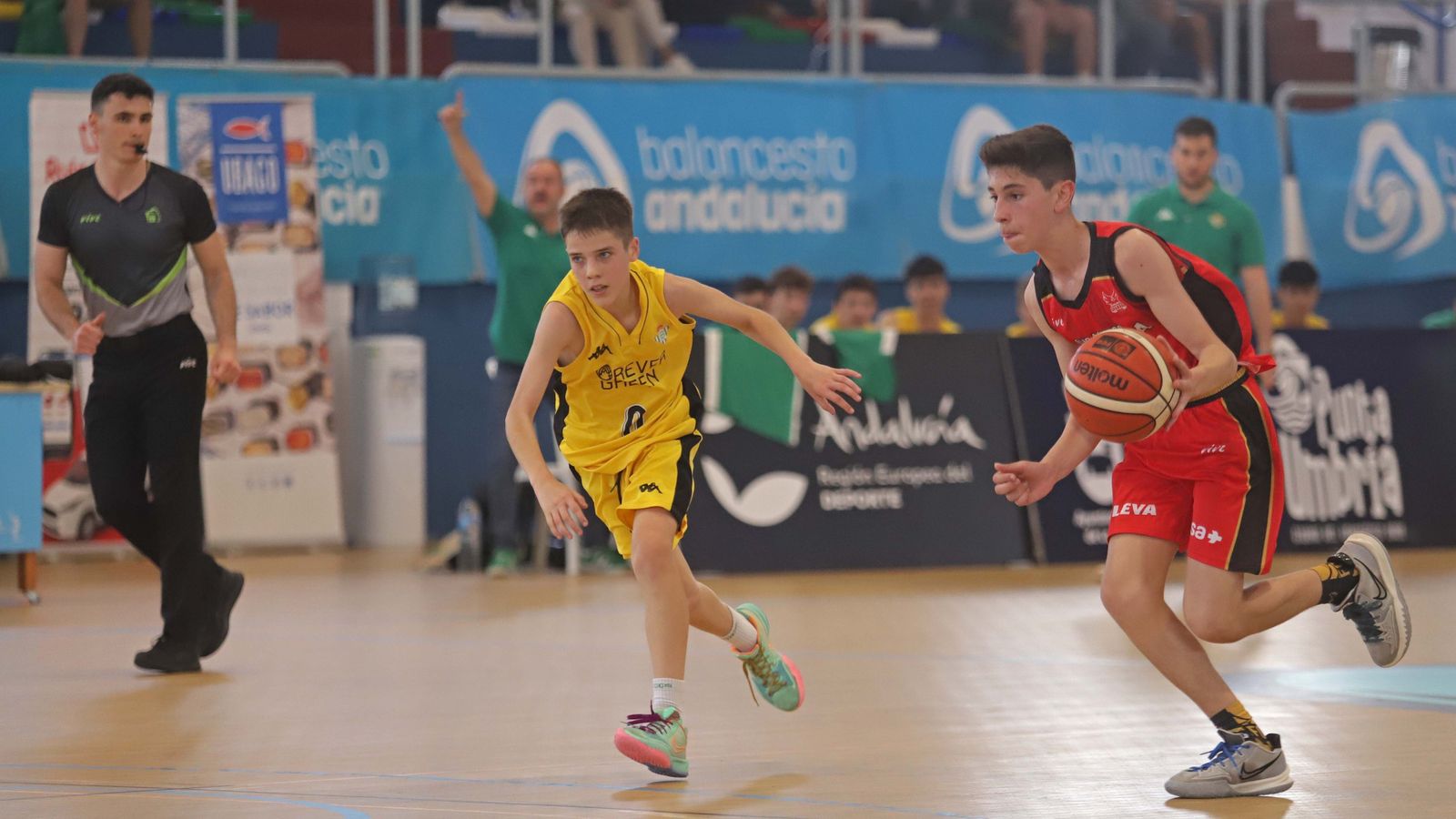 Fotos de las semifinales del Campeonato de Andalucía infantil masculino de La Línea