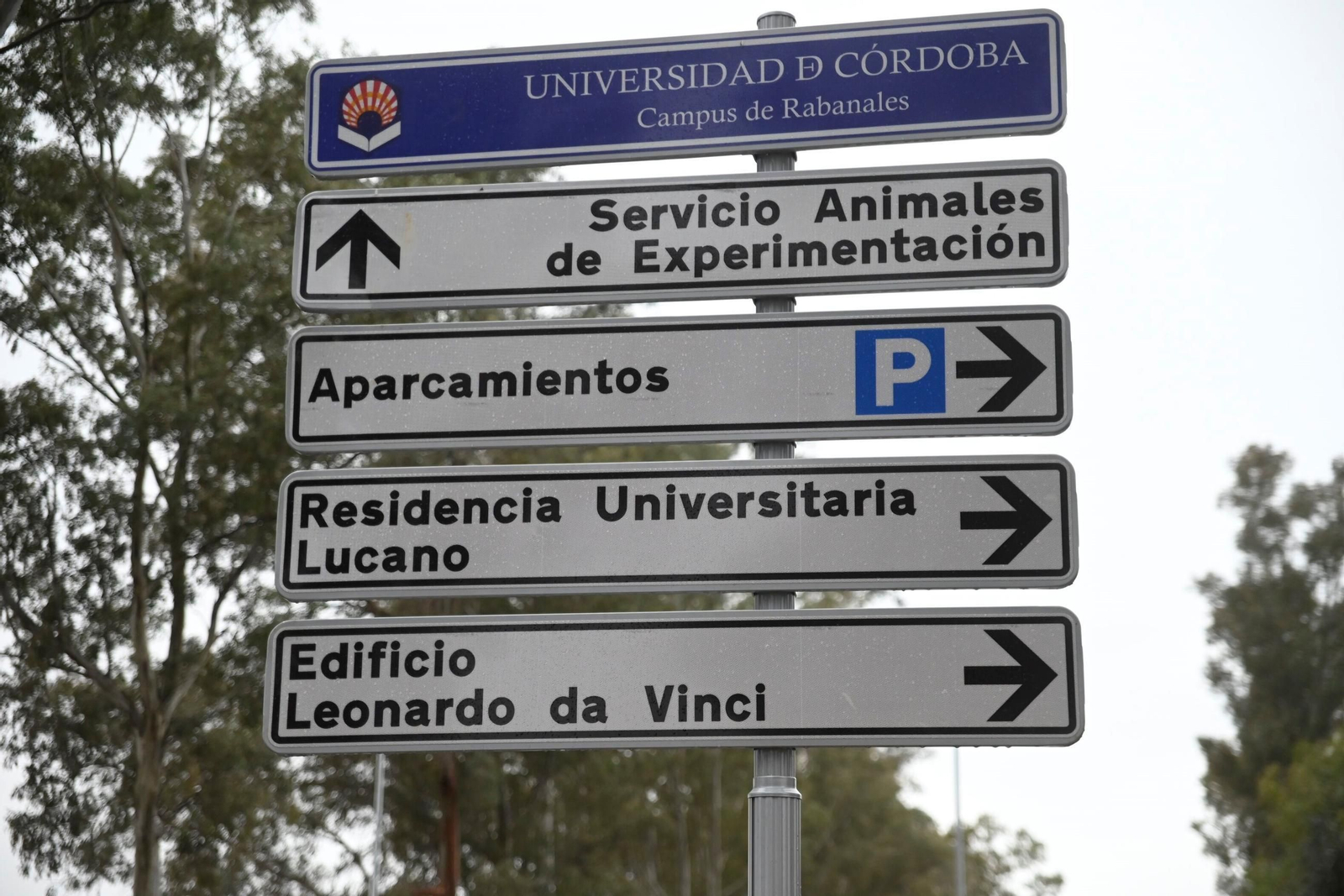 La fase 1A de reurbanización del Campus de Rabanales, en imágenes