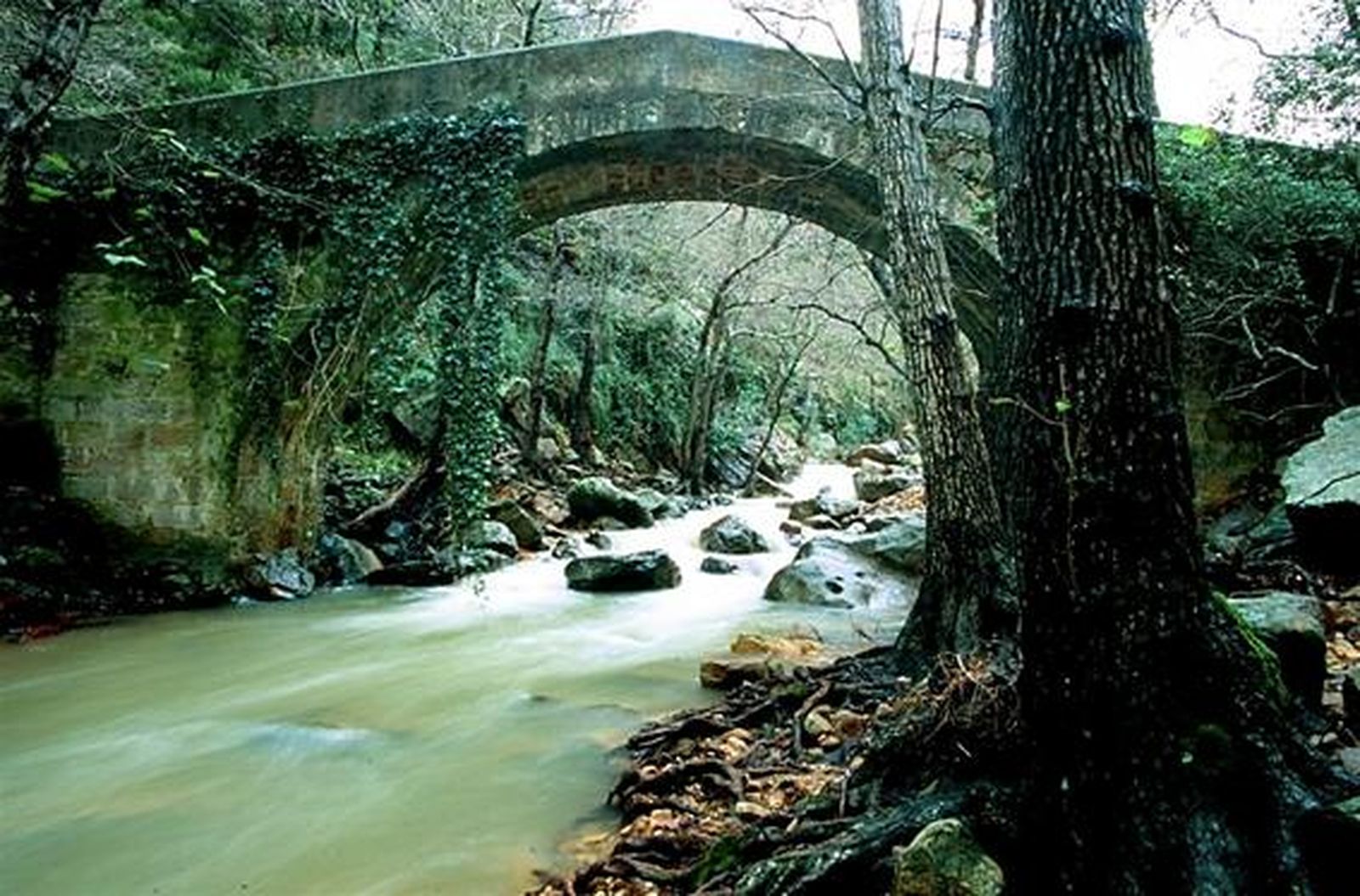 Puente en el curso alto del río de la Miel.