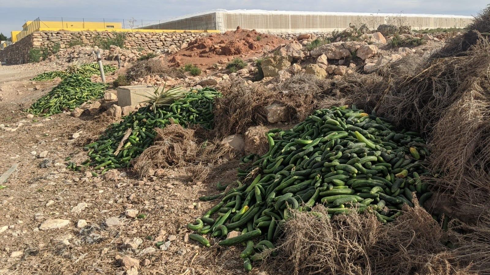 Desperdicio alimentos.
