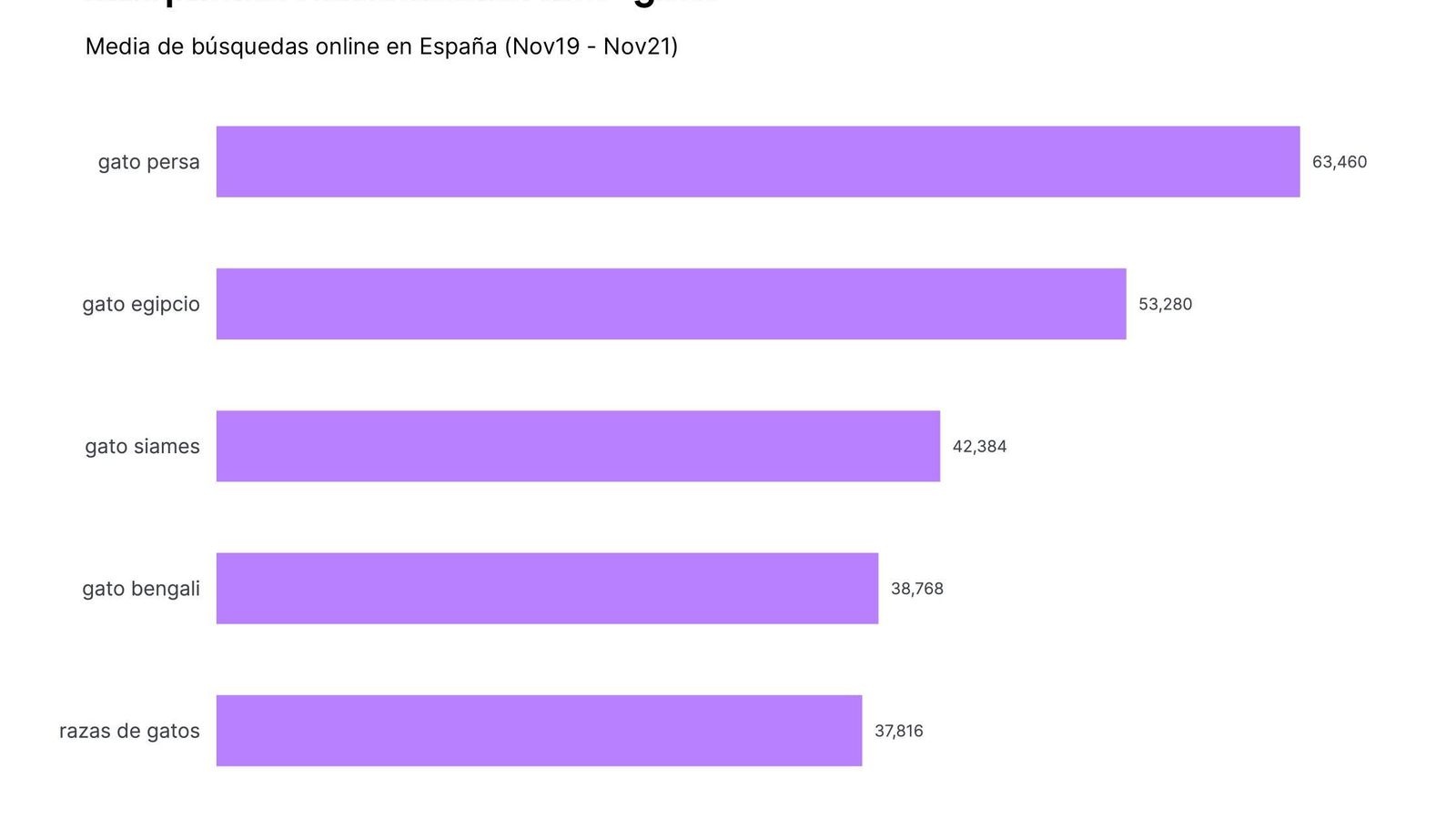 Búsquedas por "gato".
