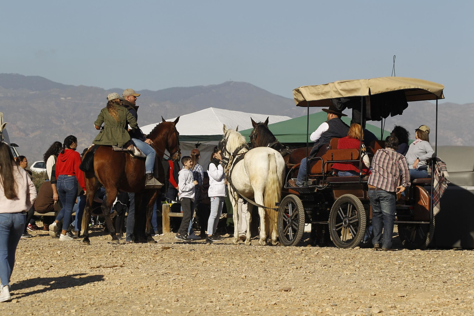 Fotogalería Romería de Torregarcía. Almería