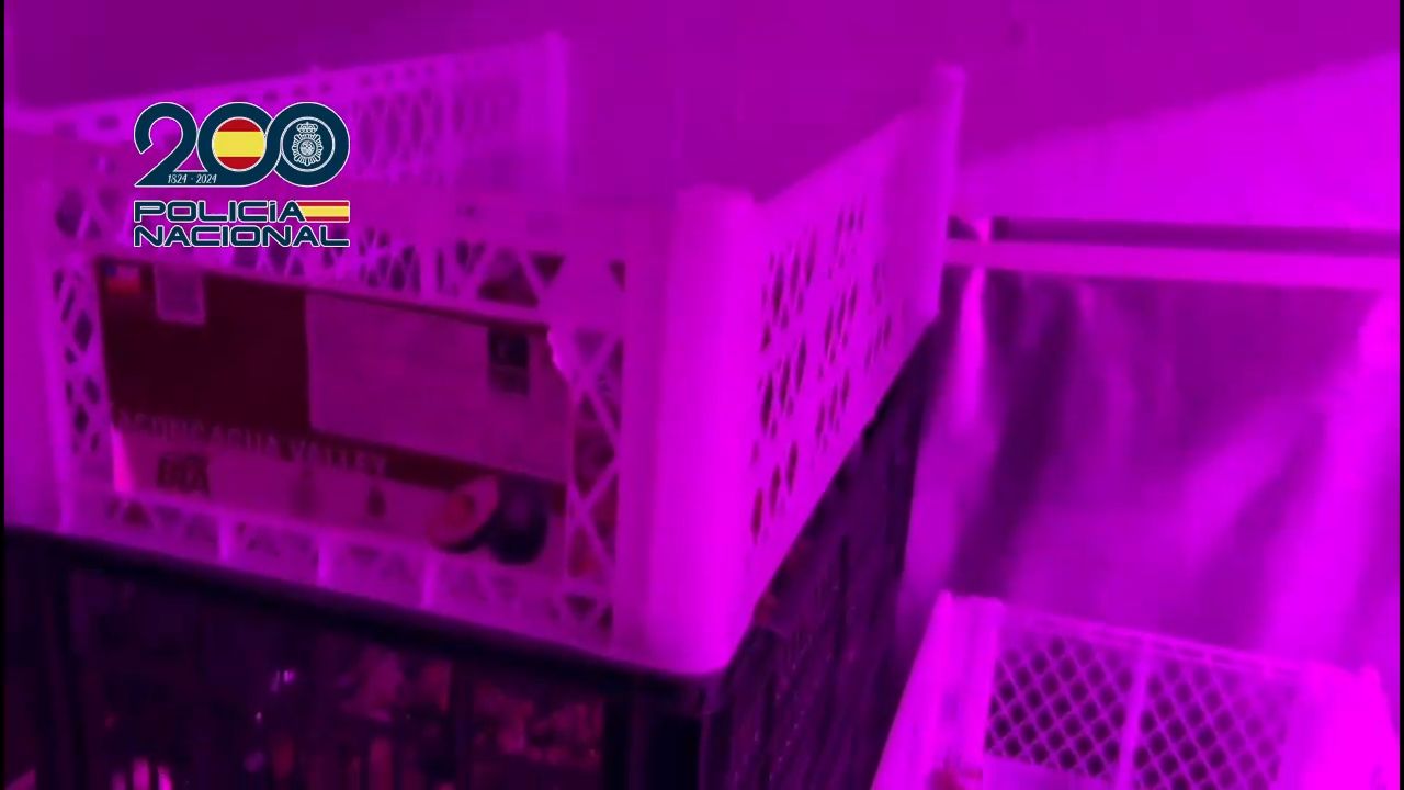 Cae una de las mayores redes de tráfico de hachís de Marruecos: hay tres detenidos en Málaga