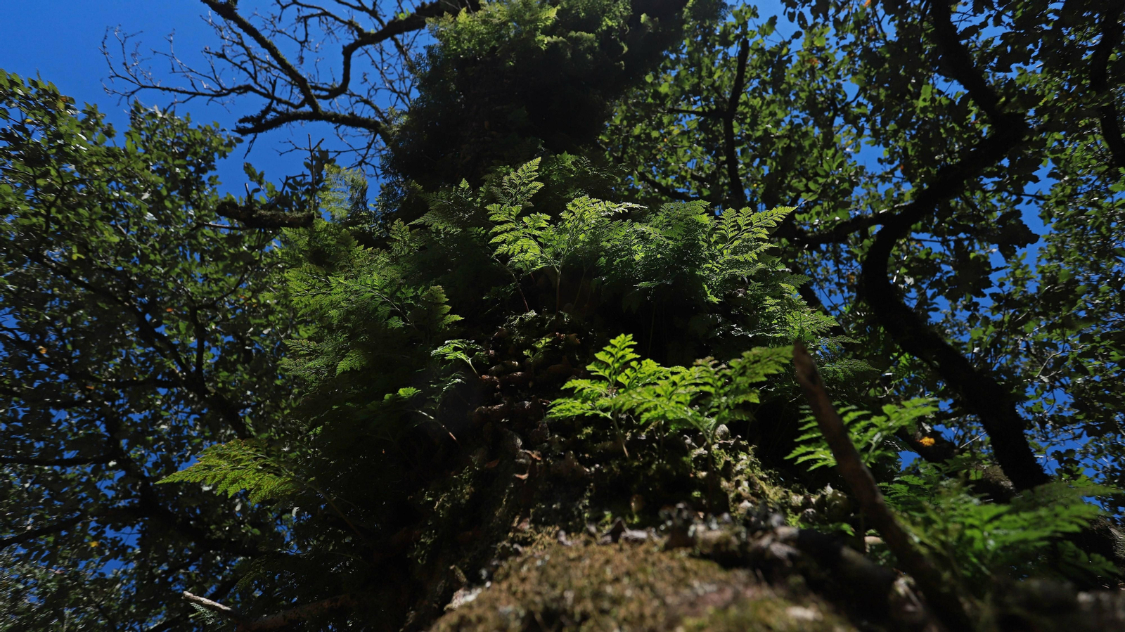 Las mejores fotos del Tajo de las Escobas