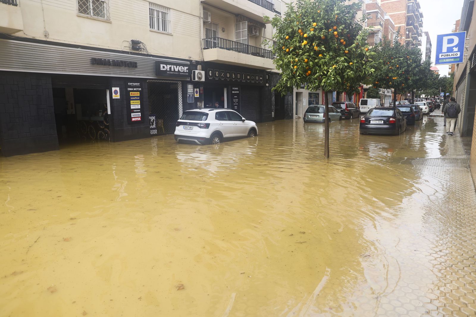 Inundaciones en Flota de Indias