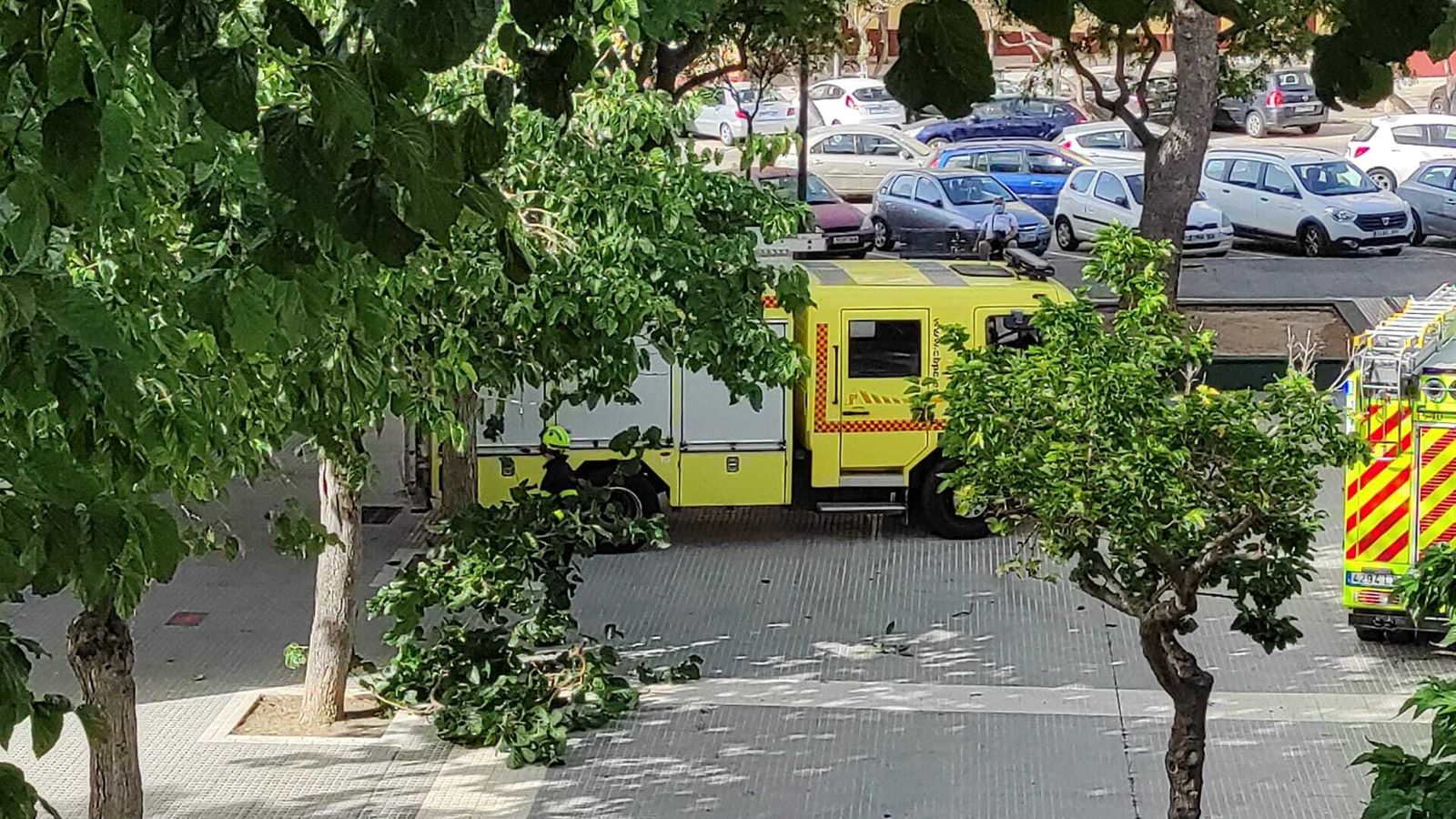 Bomberos en la avenida Alcalde Cayetano Roldán.
