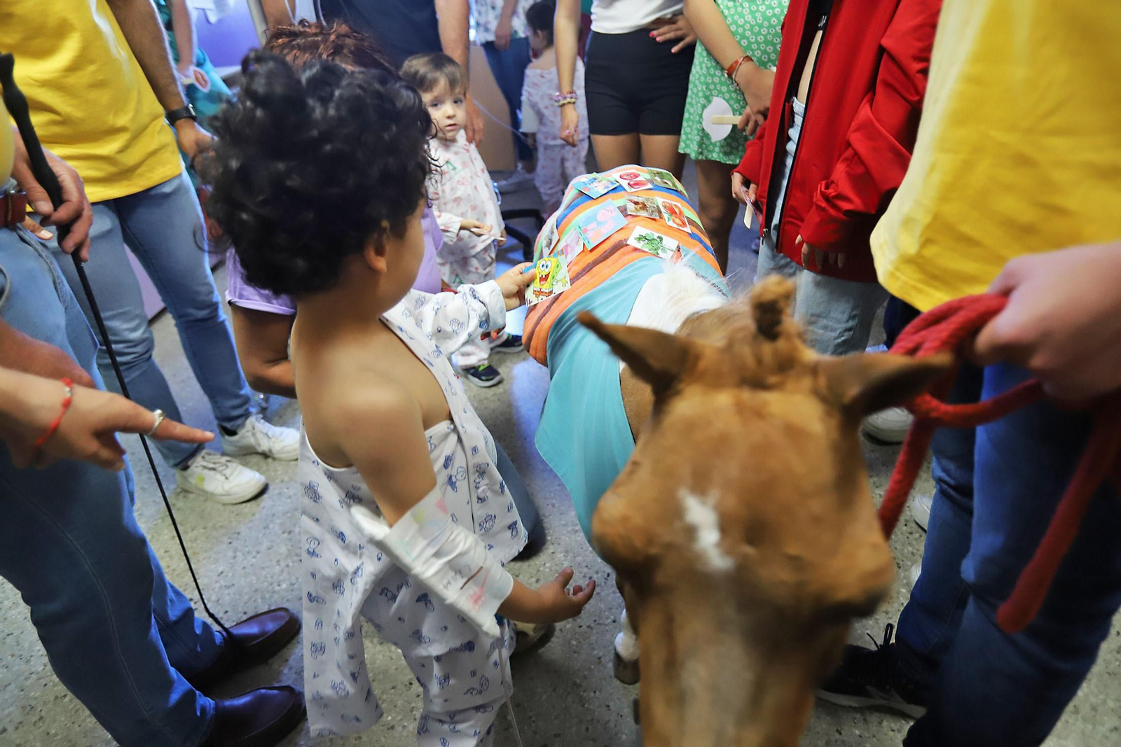 Los niños hospitalizados en el Juan Ramón Jiménez reciben la inesperada visita de unos caballos