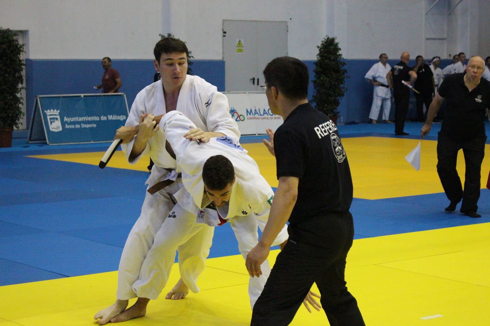 Las imágenes del Mundial de Aikido de Málaga