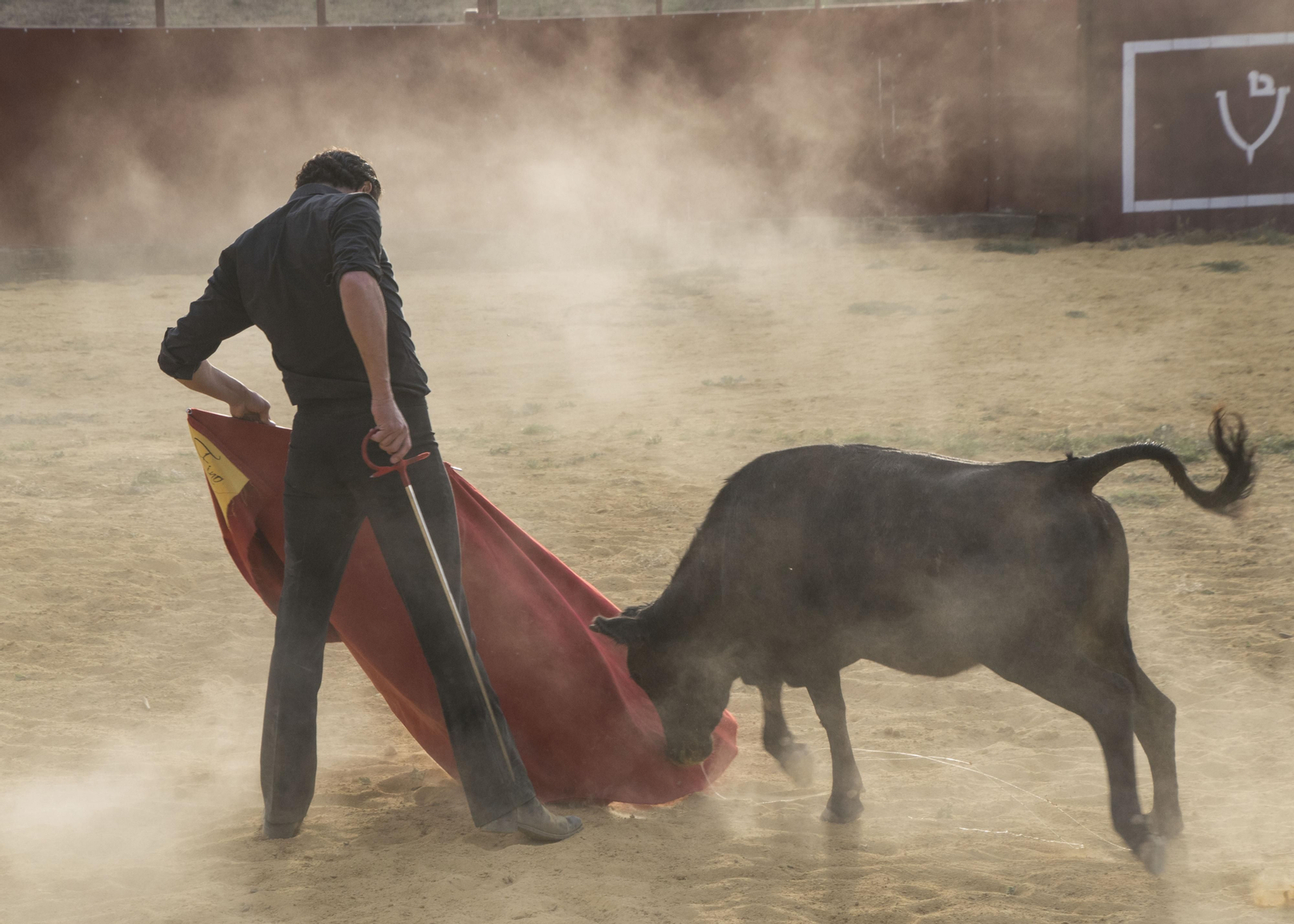 Finito de Córdoba, en un tentadero en la Sierra, en imágenes