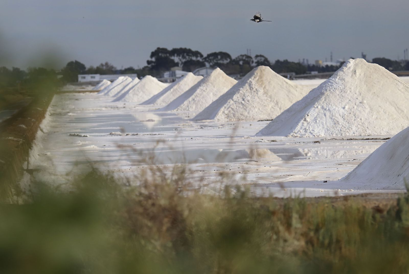 Paraje natural Marismas del Odiel, paraíso de Huelva entre salinas