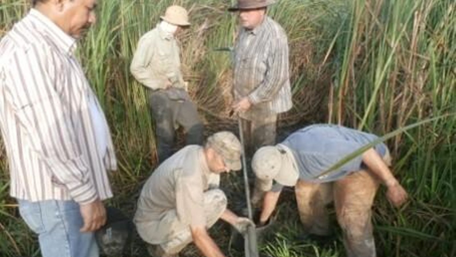 Una imagen de la investigación por parte del equipo.