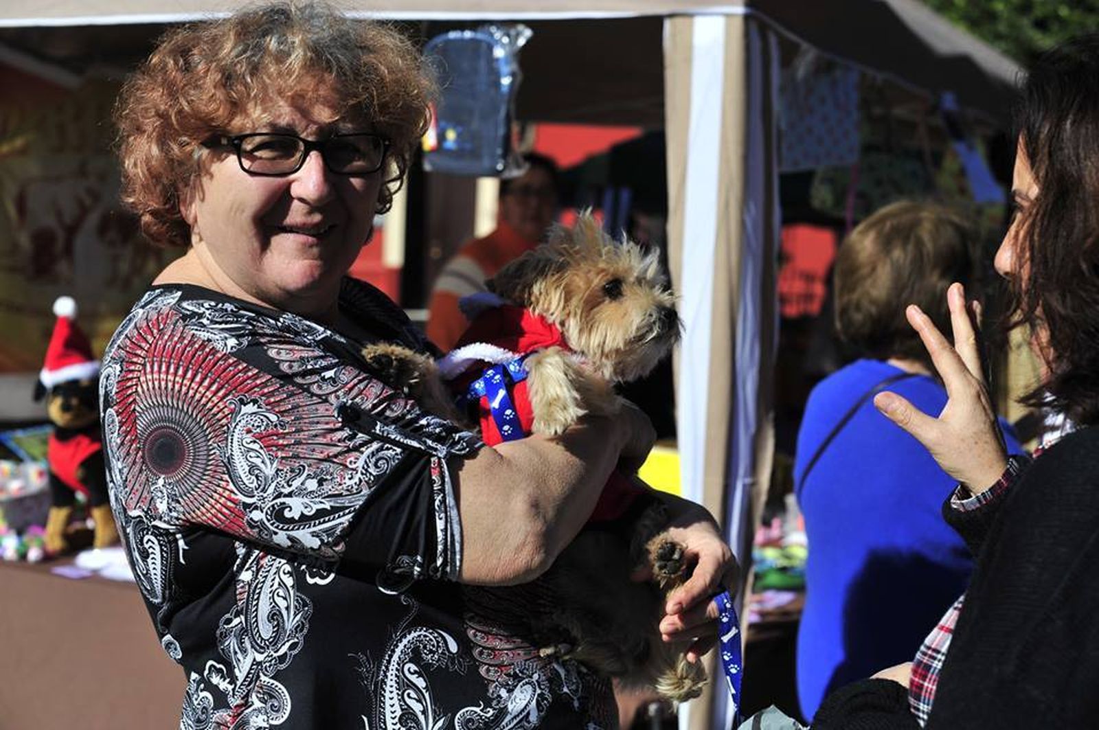 Mercadillo solidario de las protectoras, el pasado domingo