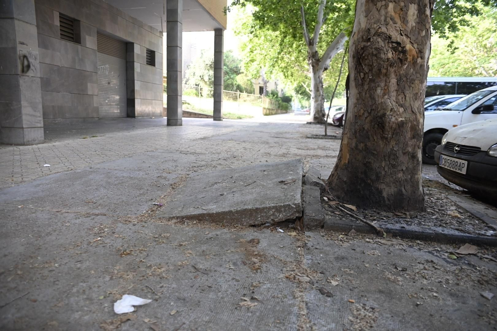 El deterioro del barrio del Guadalquivir de Córdoba, en imágenes