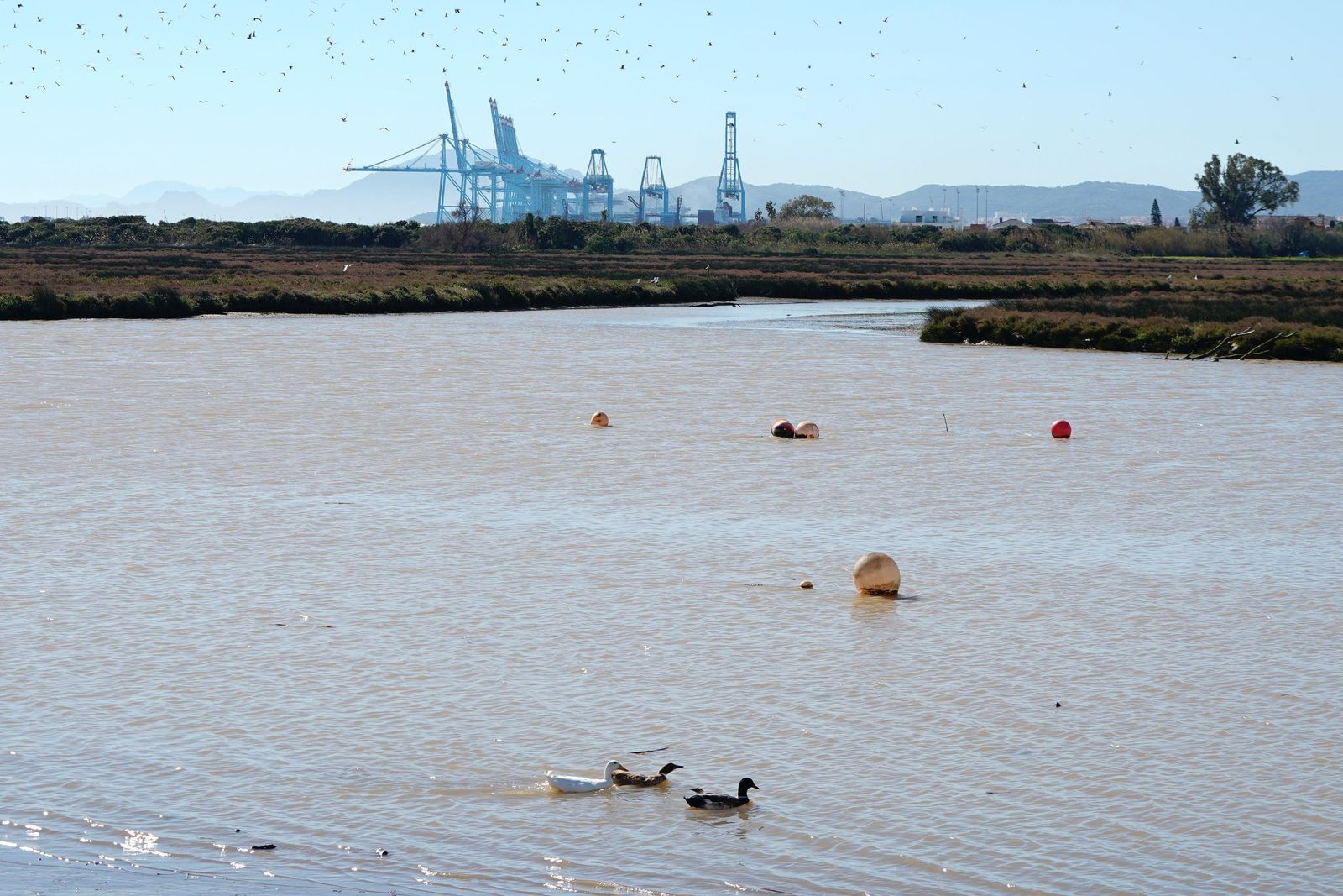 Fotos de la contaminación en el paraje natural marismas del Río Palmones