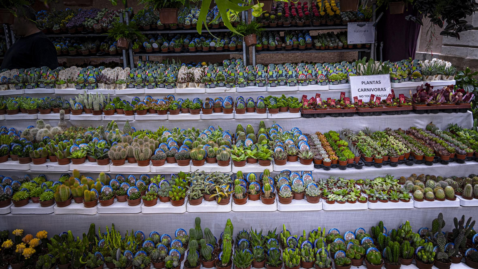 Las imágenes del Mercado Andalusi 2024 en el barrio de El Pópulo de Cádiz