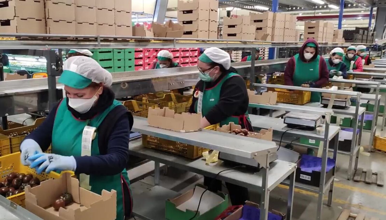 Uso de mascarillas en los almacenes de manipulado