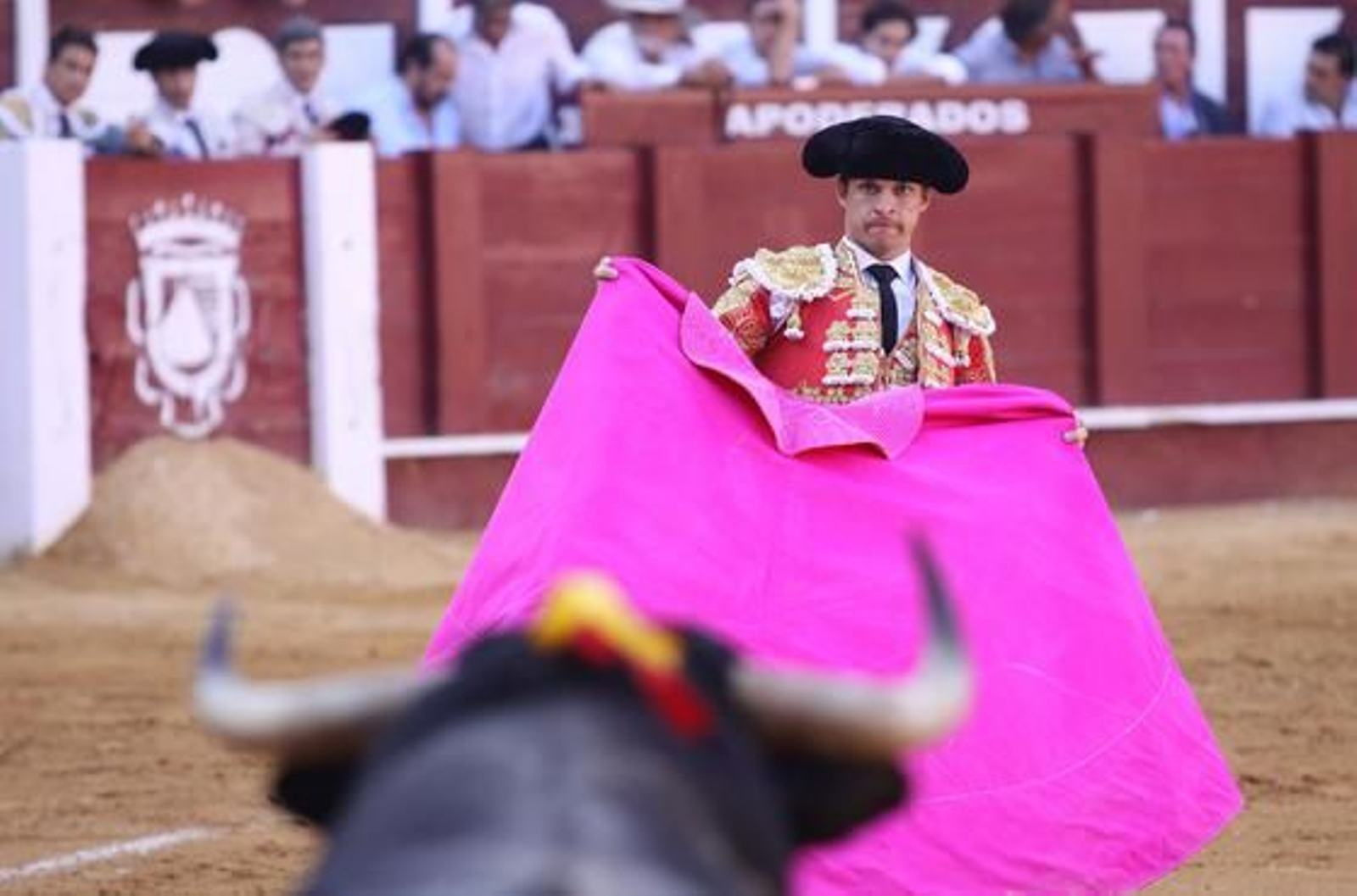 El Juli en la Malagueta

Foto: Javier Albiñana