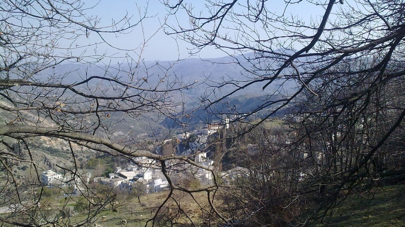 Alpujarra de la Sierra (Granada)